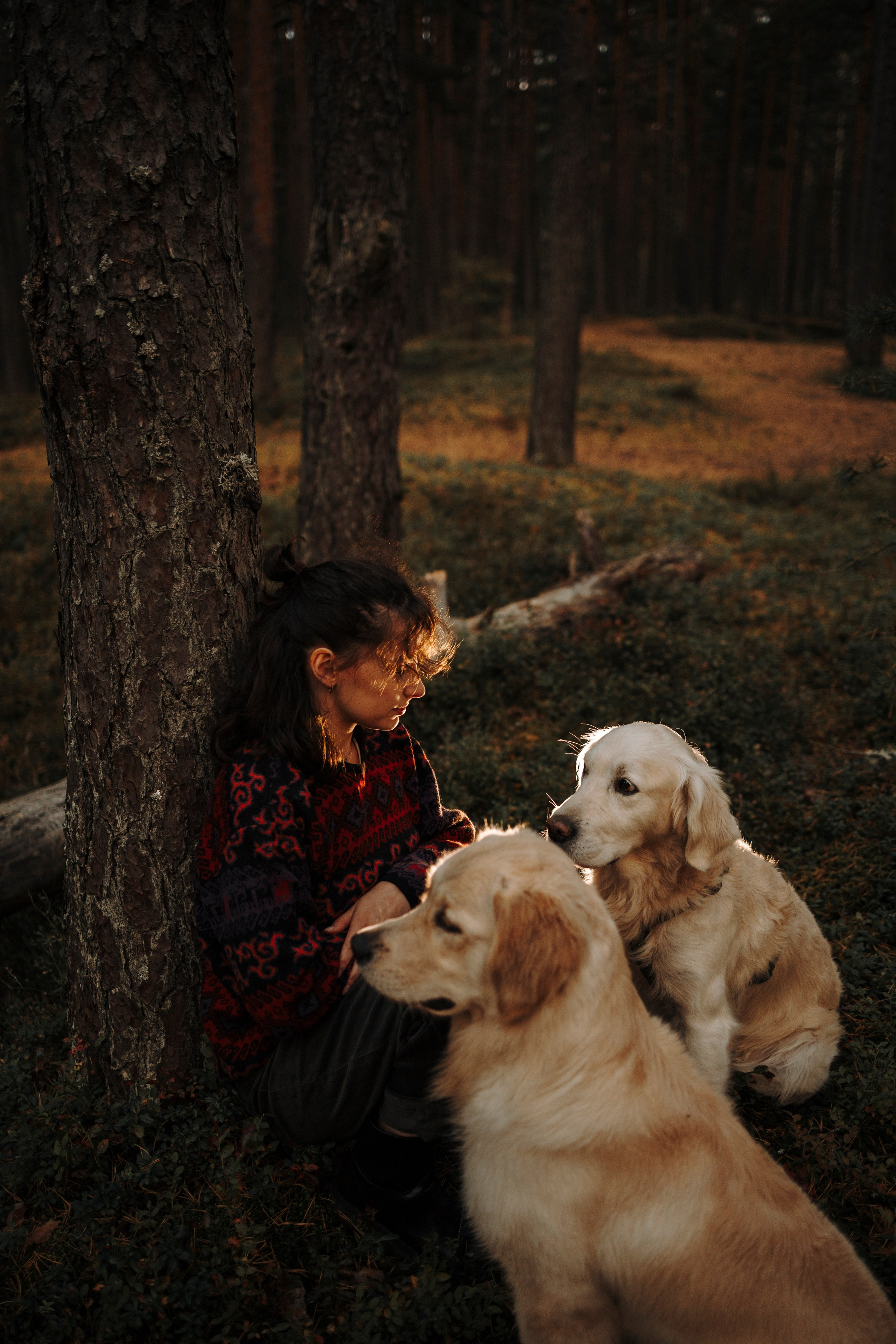 Прогулка Насти с Арчи и Арагоном. Фотограф-анималист в Санкт-Петеребурге Титова Алиса