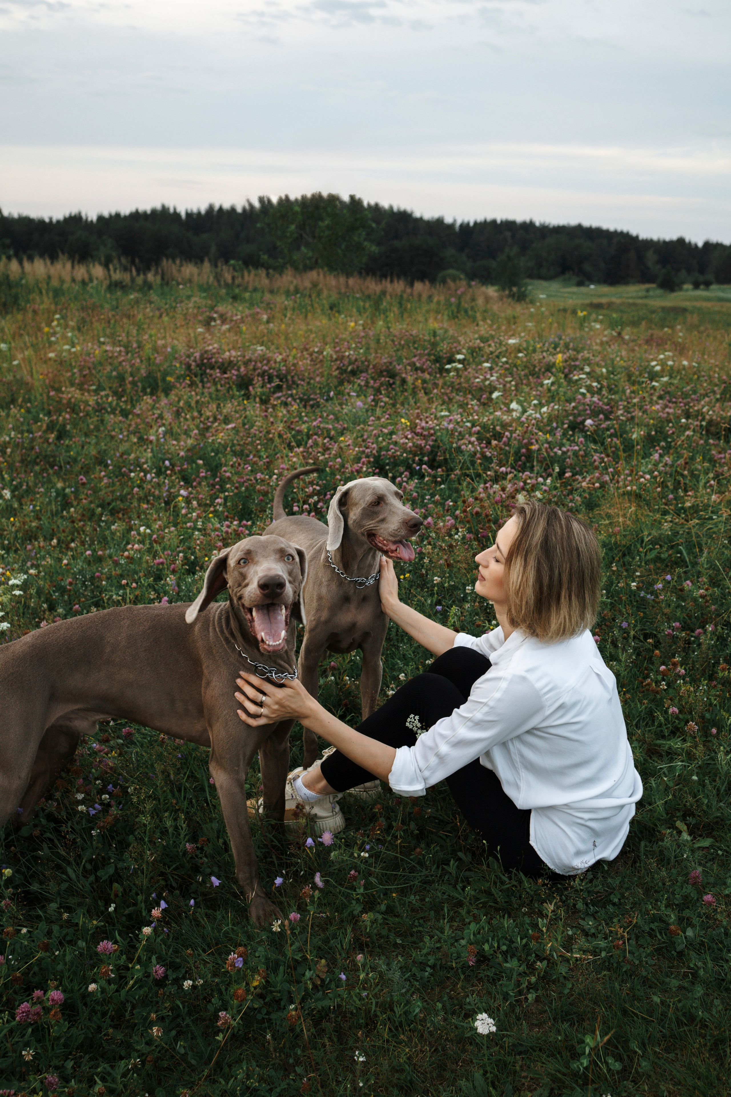 Маргарита и веймаранеры. Фотограф-анималист в Санкт-Петеребурге Титова Алиса