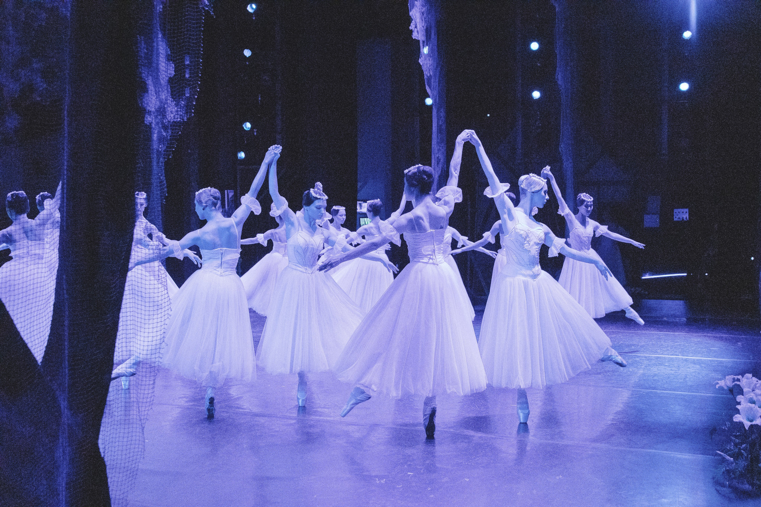 Концерты. Семейный фотограф в Абакане Любовь Халявина