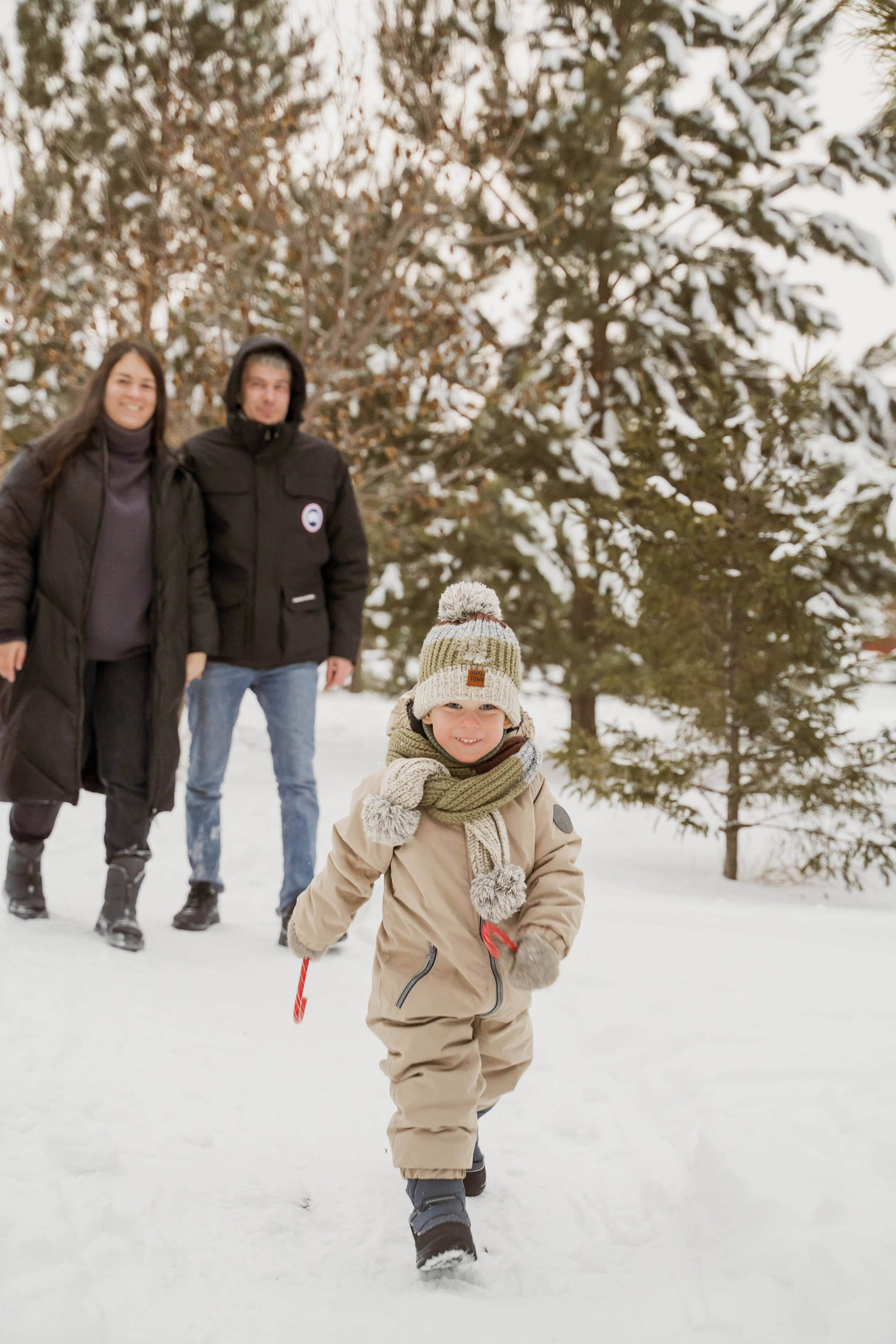 Зимняя прогулка. Главная