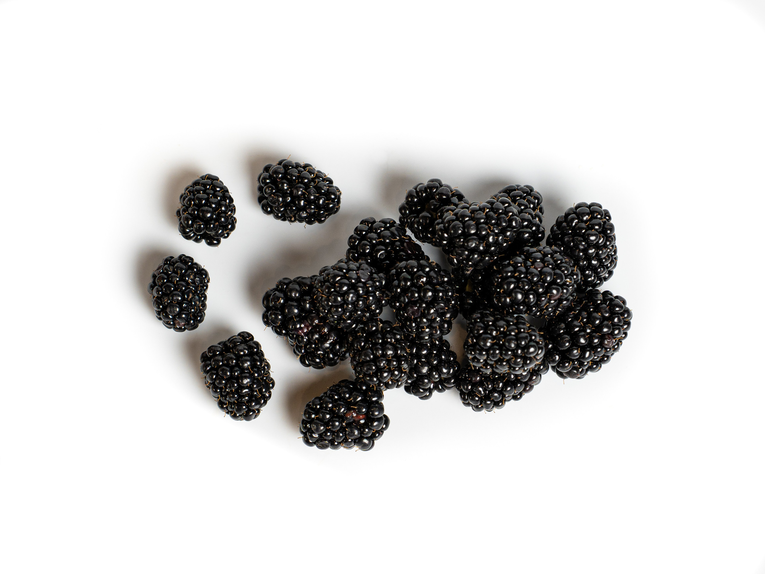 Яндекс Маркет. Предметный и фуд-фотограф в Москве Анна Царенко