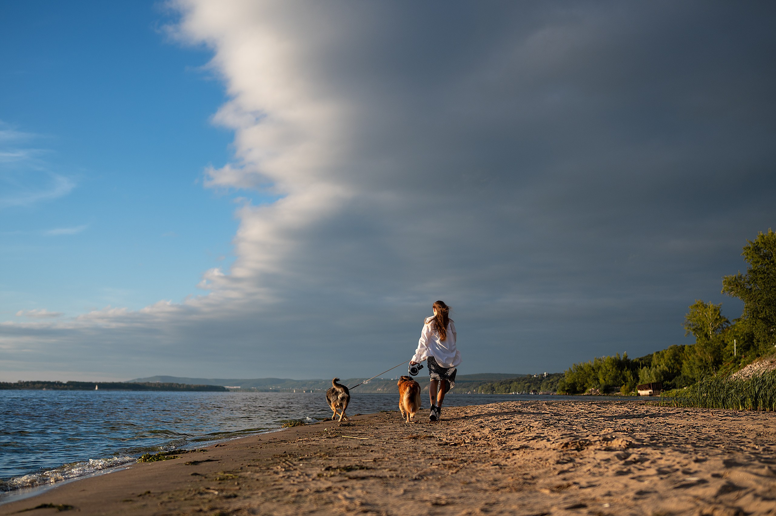 Лиза, Клопа и Хрюша. Главная