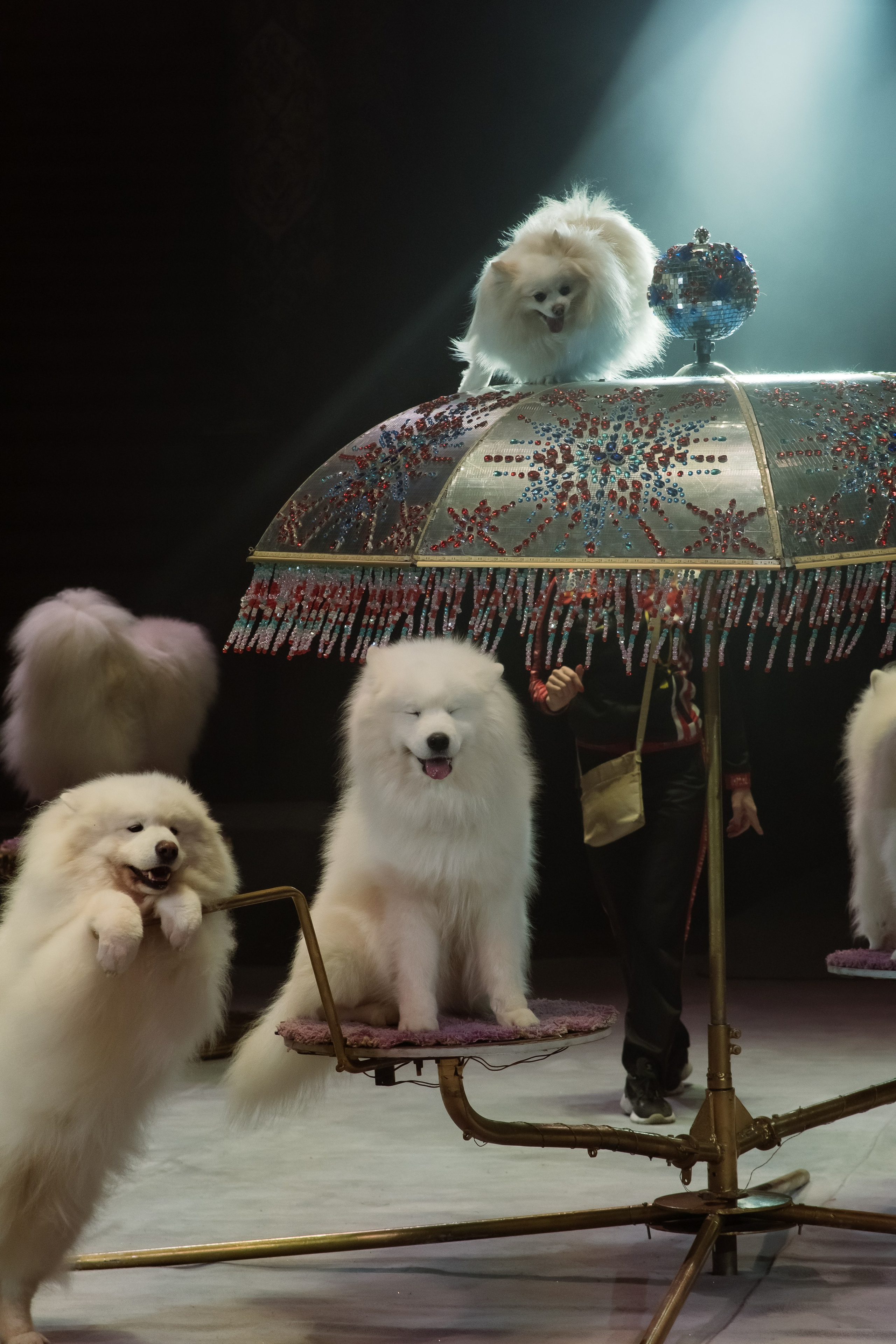 Репортаж. Фотограф Новосибирск Анна Рождественская