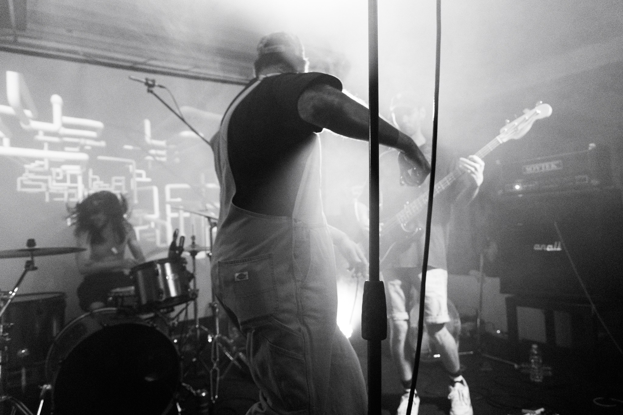 Змееед, Apodemus, 20.12.25, TAGO)))MAGO)))