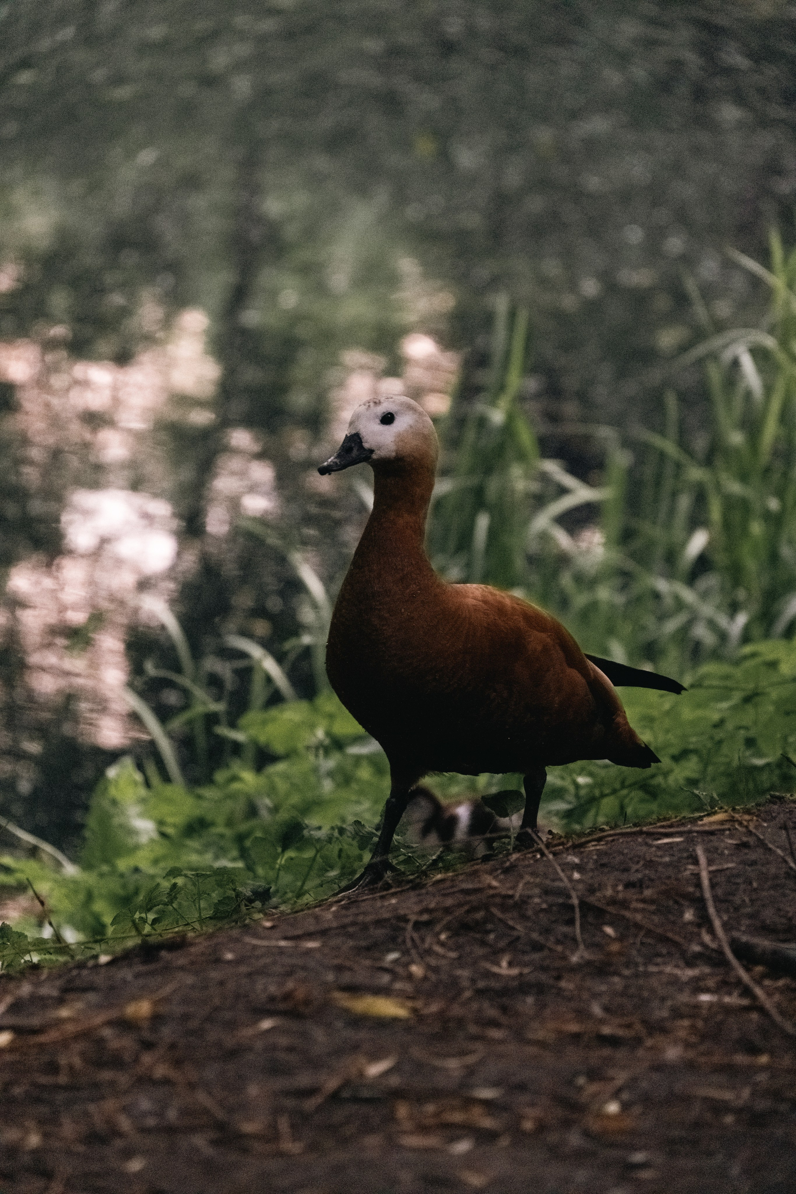 Moscow Selection. M. Neizvestniy — уличная и спортивная фотография