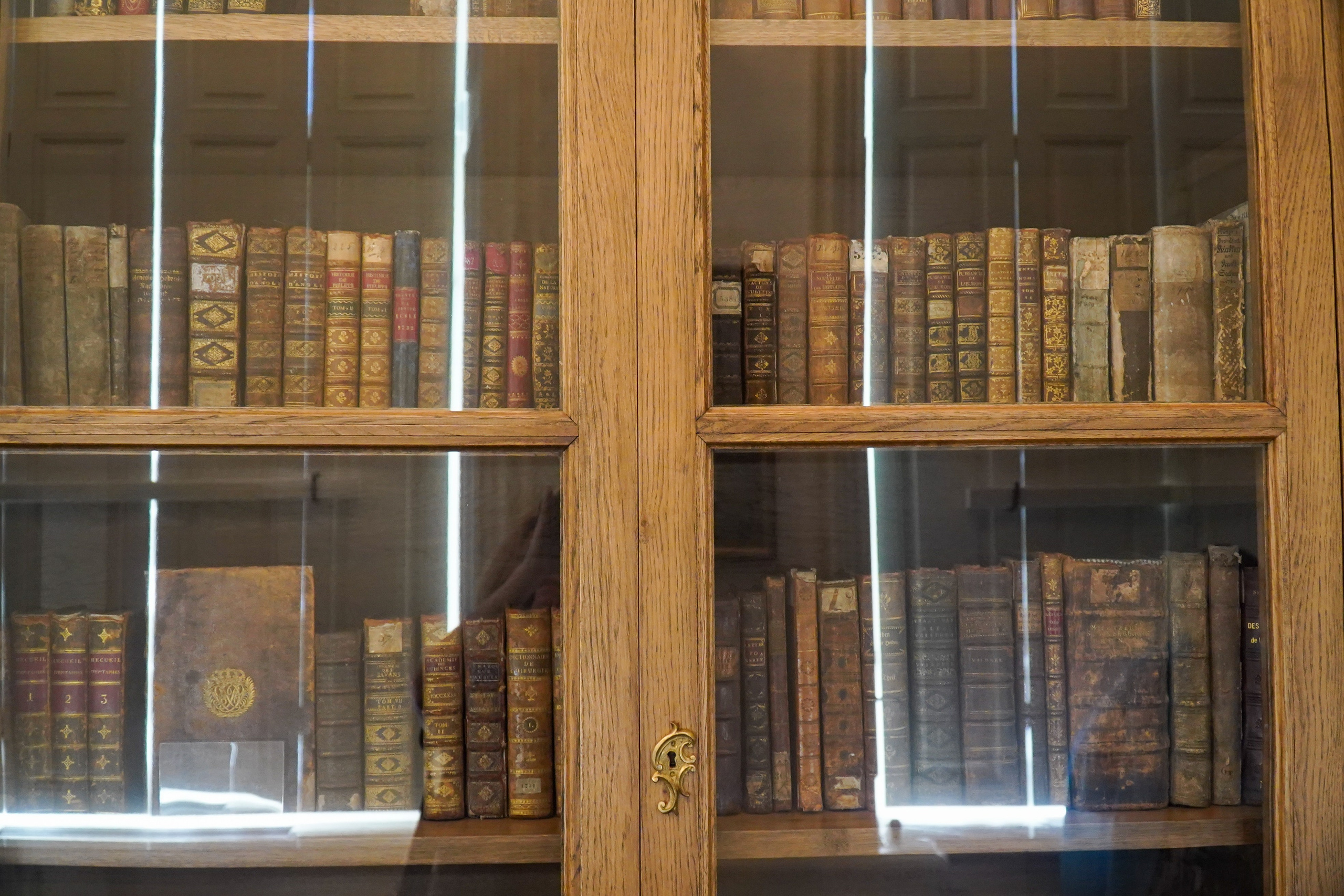 ОРАНИЕНБАУМ. Июль 2024. Фотограф Наталья Погодина в г. Обнинске