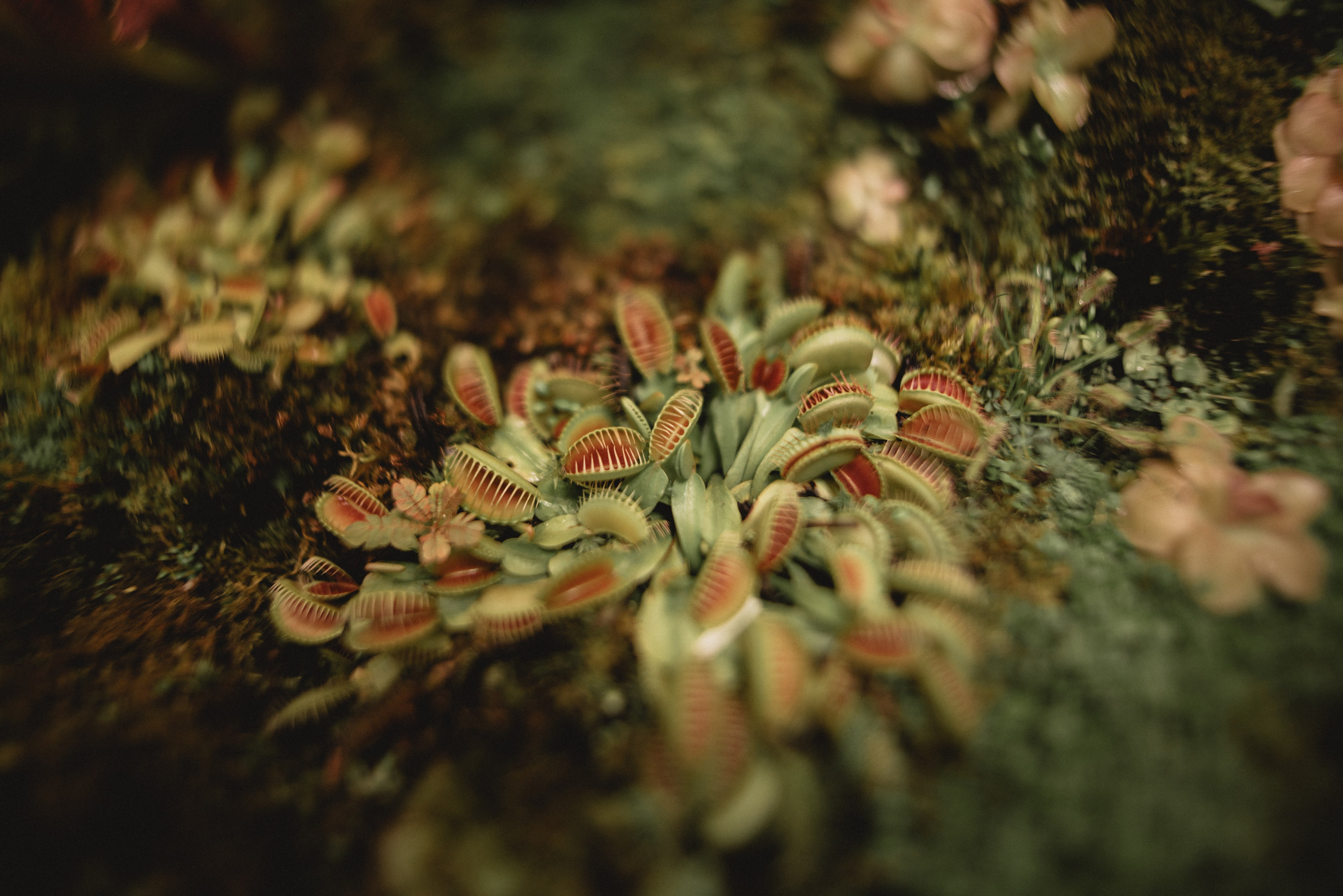 Настя & Женя