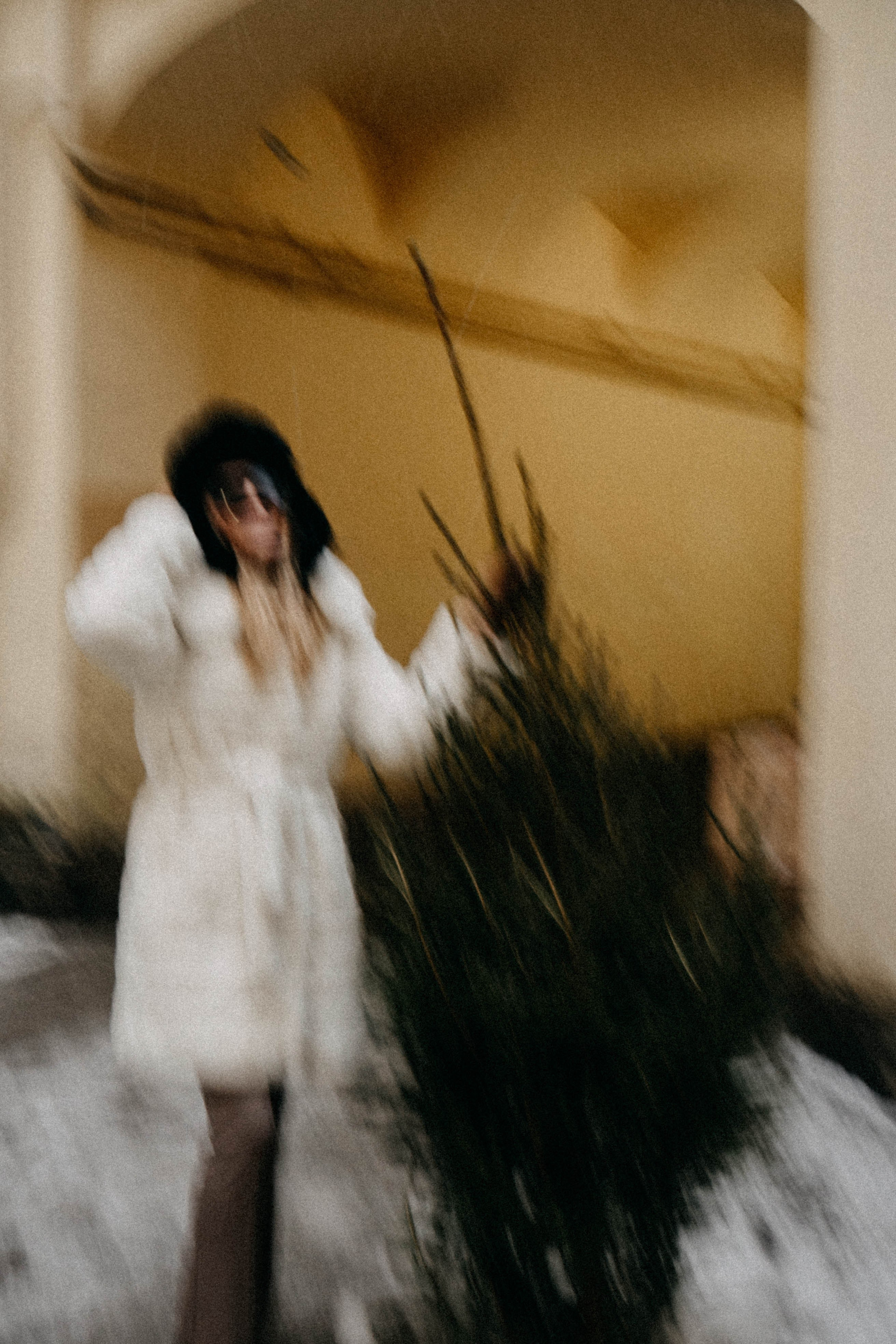 Новогодняя. Профессиональный фотограф, Санкт-Петербург — Виктория Богомолова