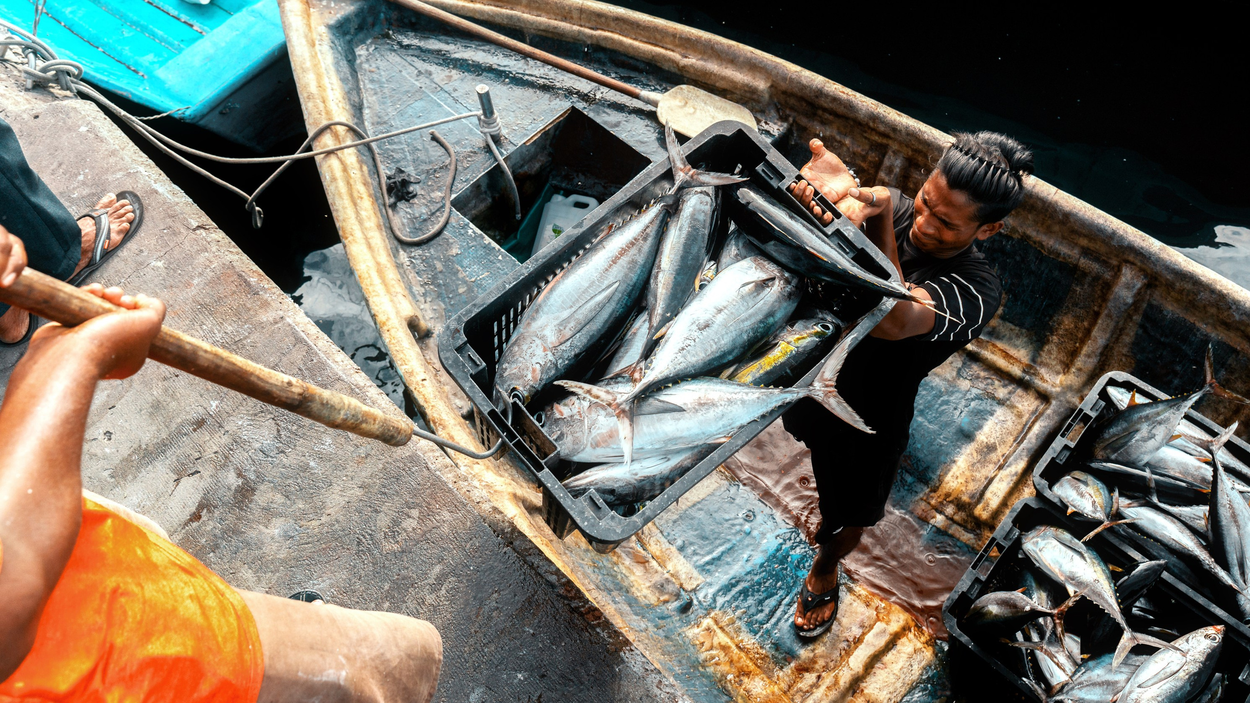 Ktokuda. Фотограф в Хабаровске. Фотография за 24 часа