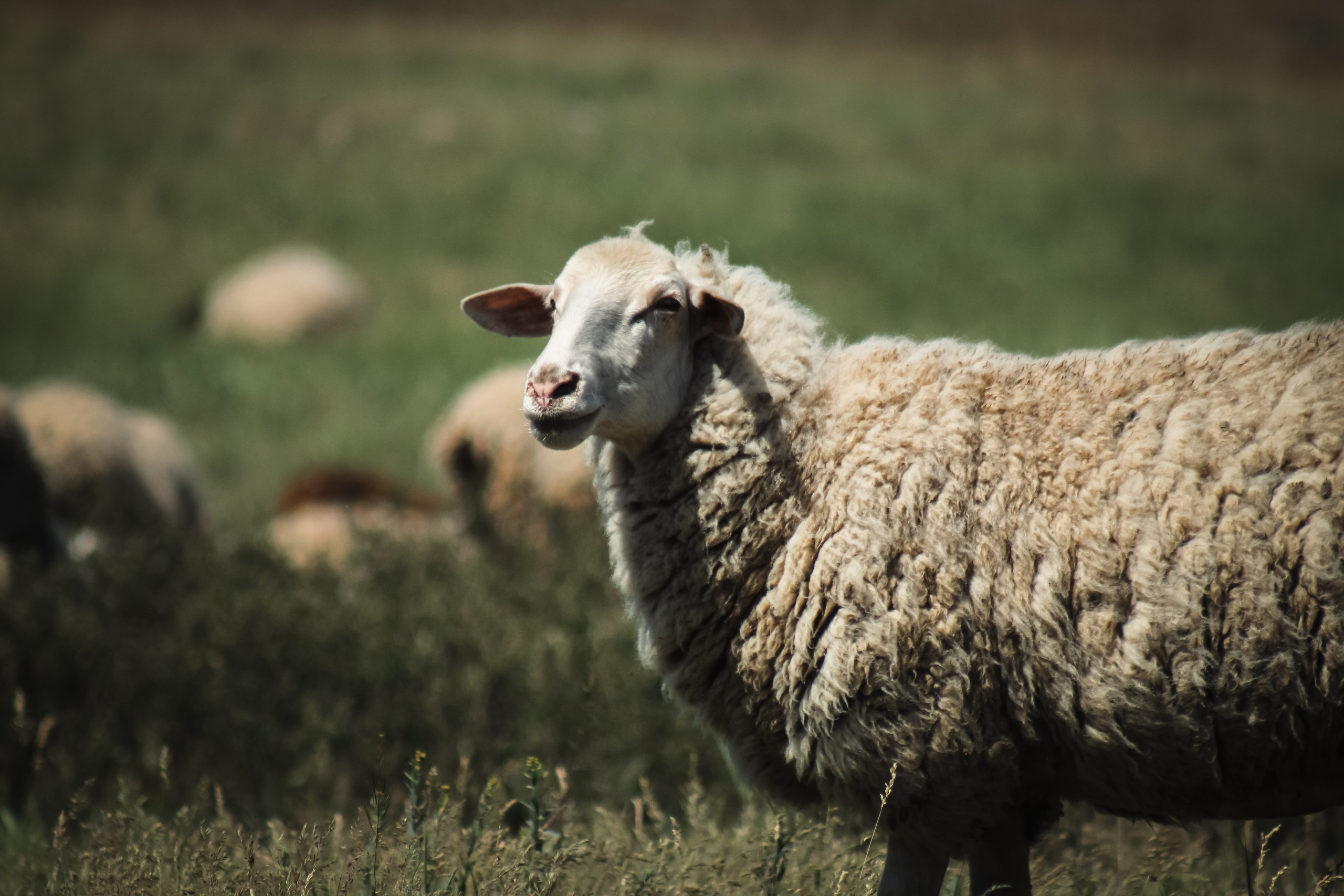 Маёвка. Илья Чемис — Фотограф в Мариуполе