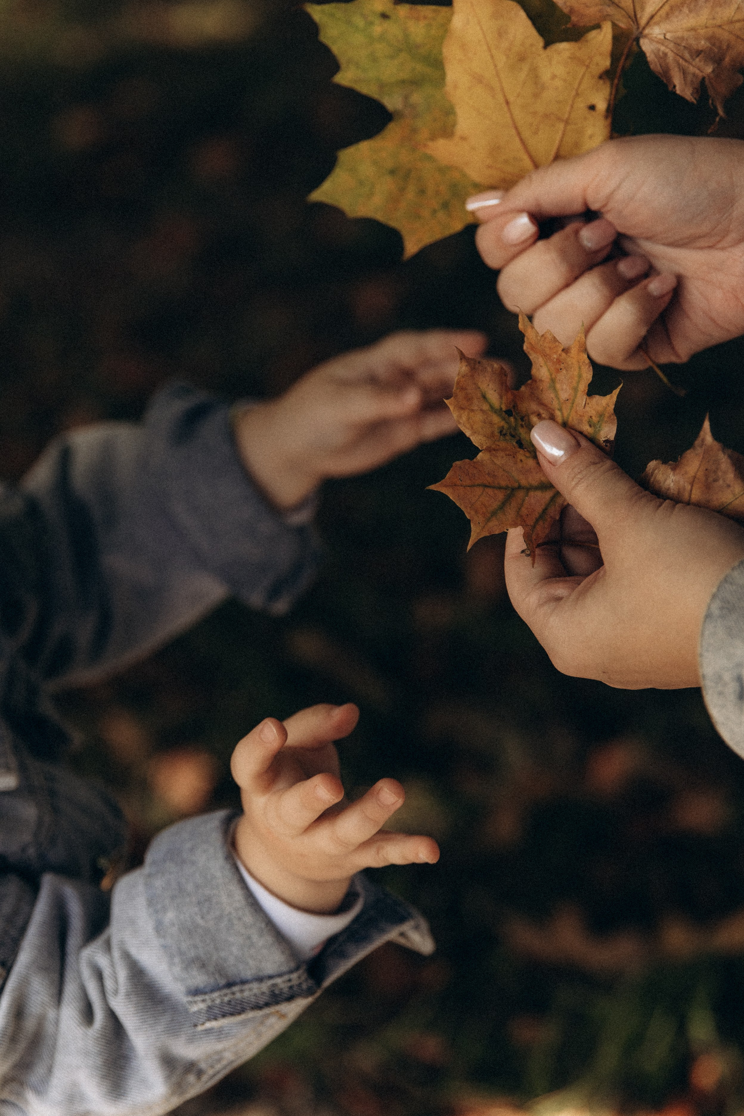Семья. Фотограф в Нижнем Новгороде Воробьева Анжела