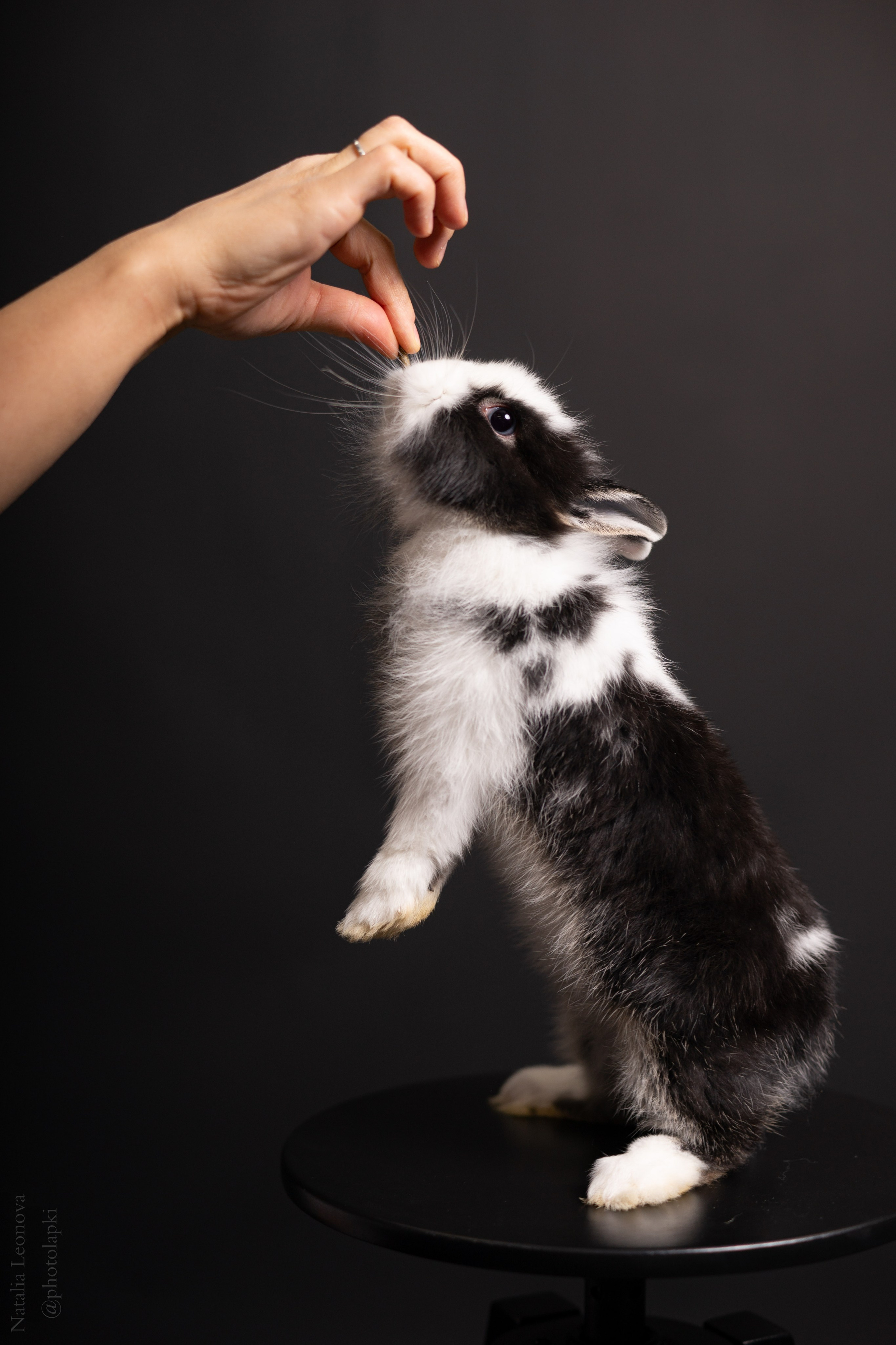 Сестры. Фотограф Наталья Леонова