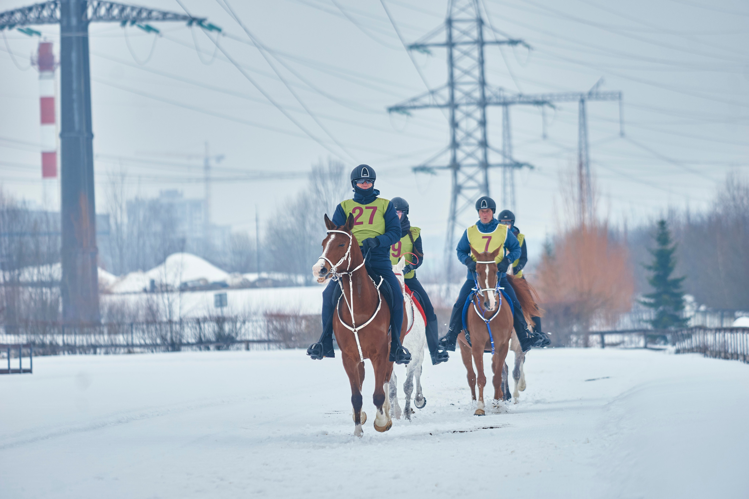 HORSE RACING. Фотограф Наталья Леонова