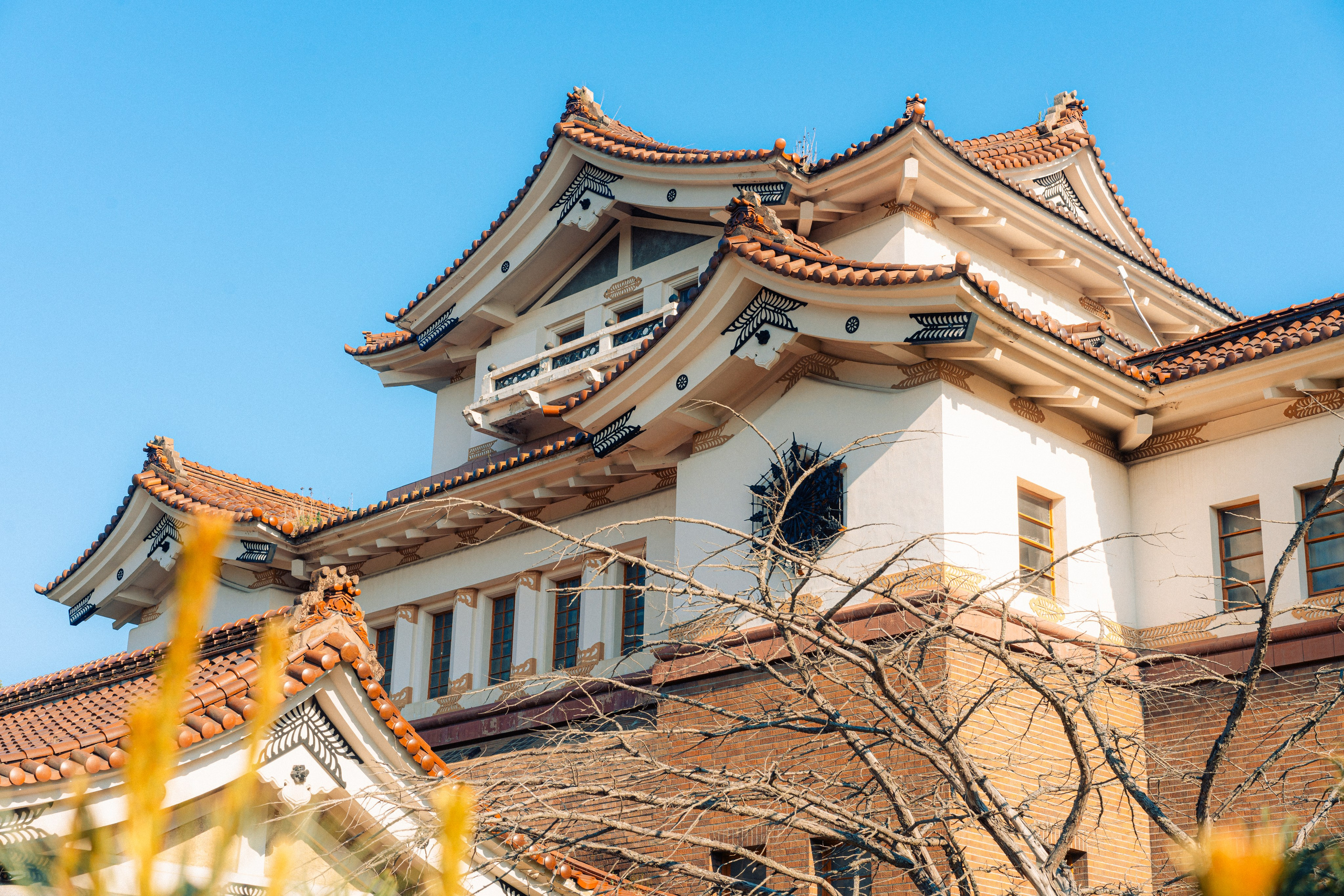 地方历史博物馆. Ivan Zaitsev (IZIART) — 通过照片和视频创建文化代码