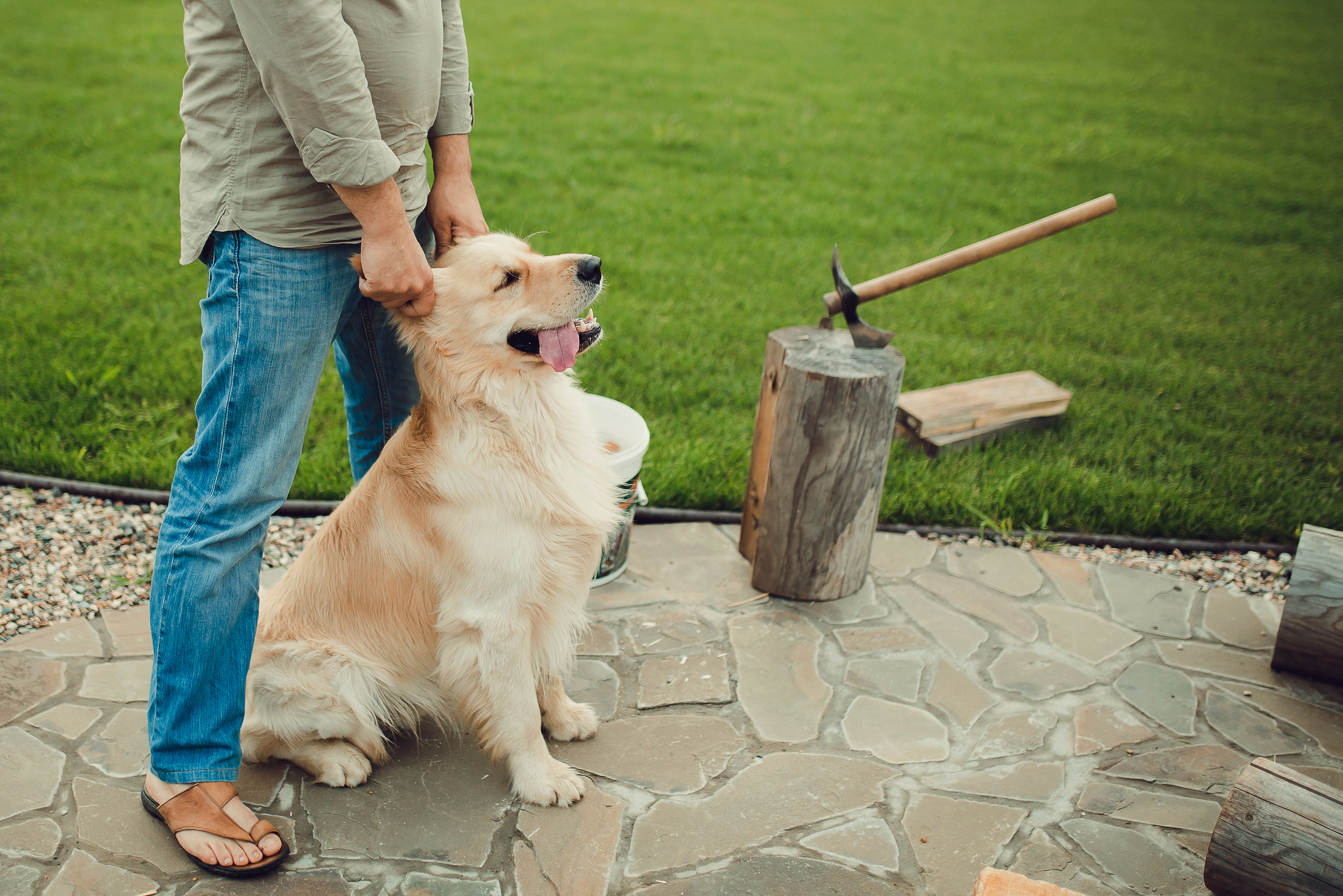 Лето. Семейный фотограф в Нижнем Новгороде Конурина Ирина