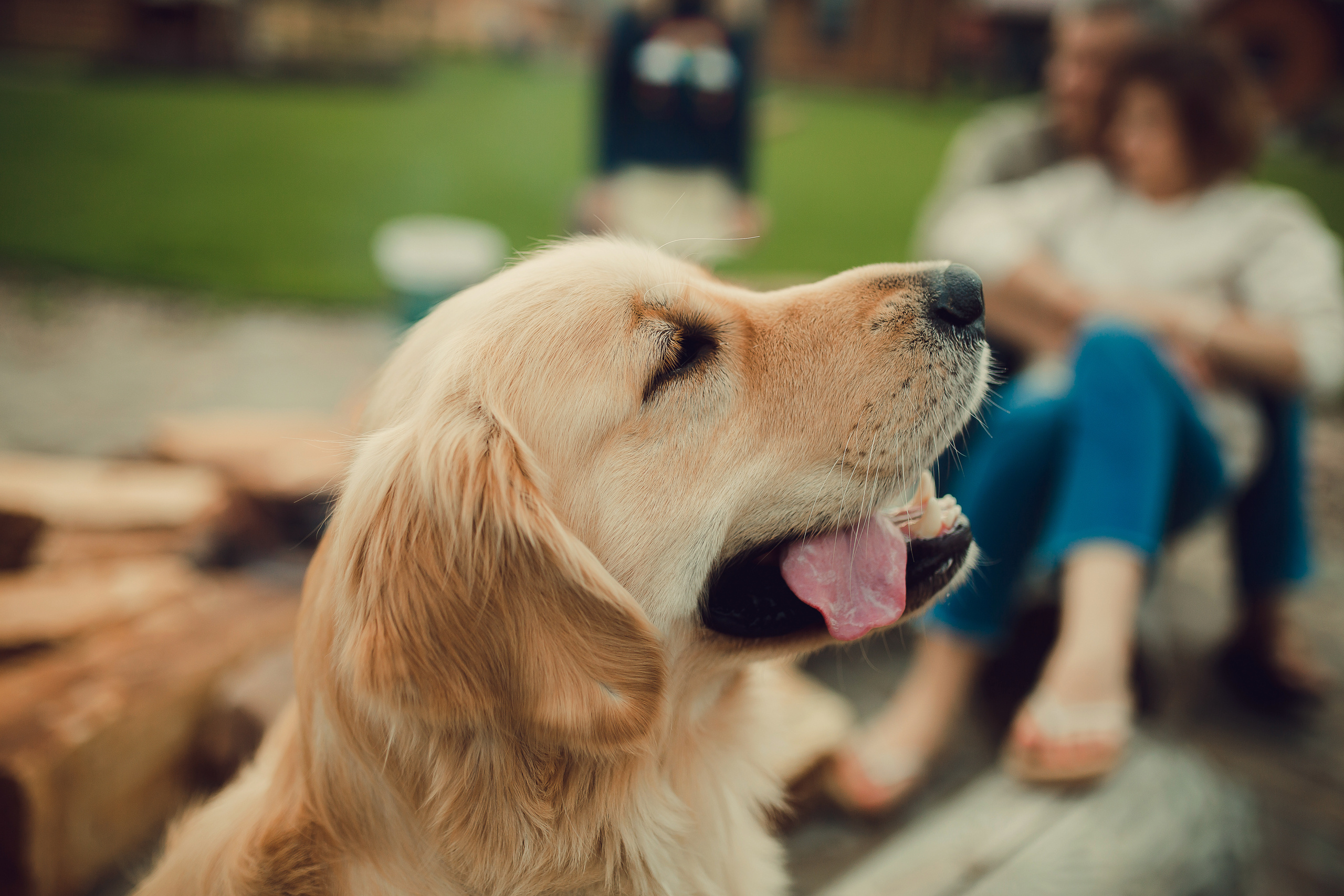 Лето. Семейный фотограф в Нижнем Новгороде Конурина Ирина