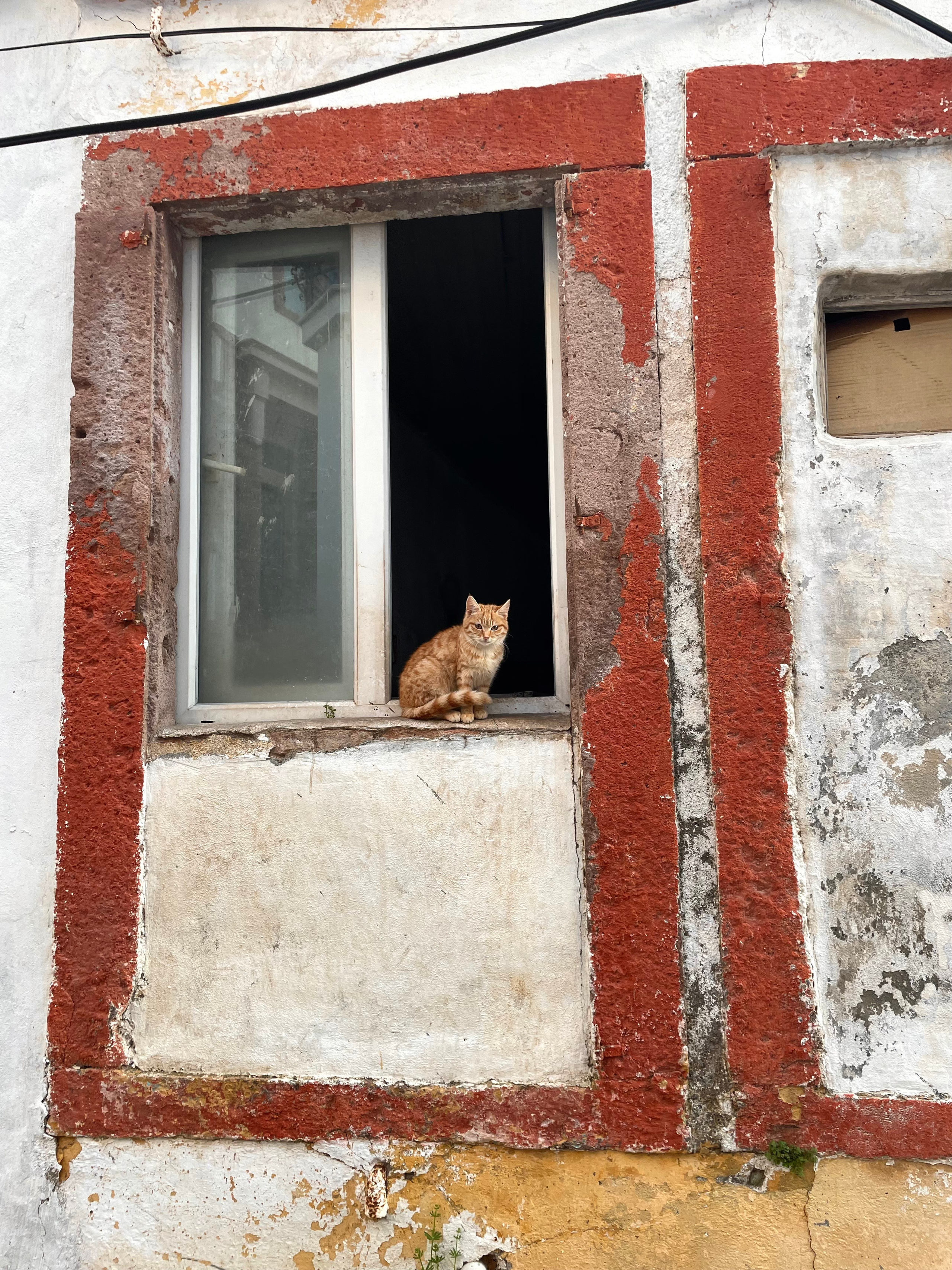 Каш Турция — яркие улицы и панорама на море