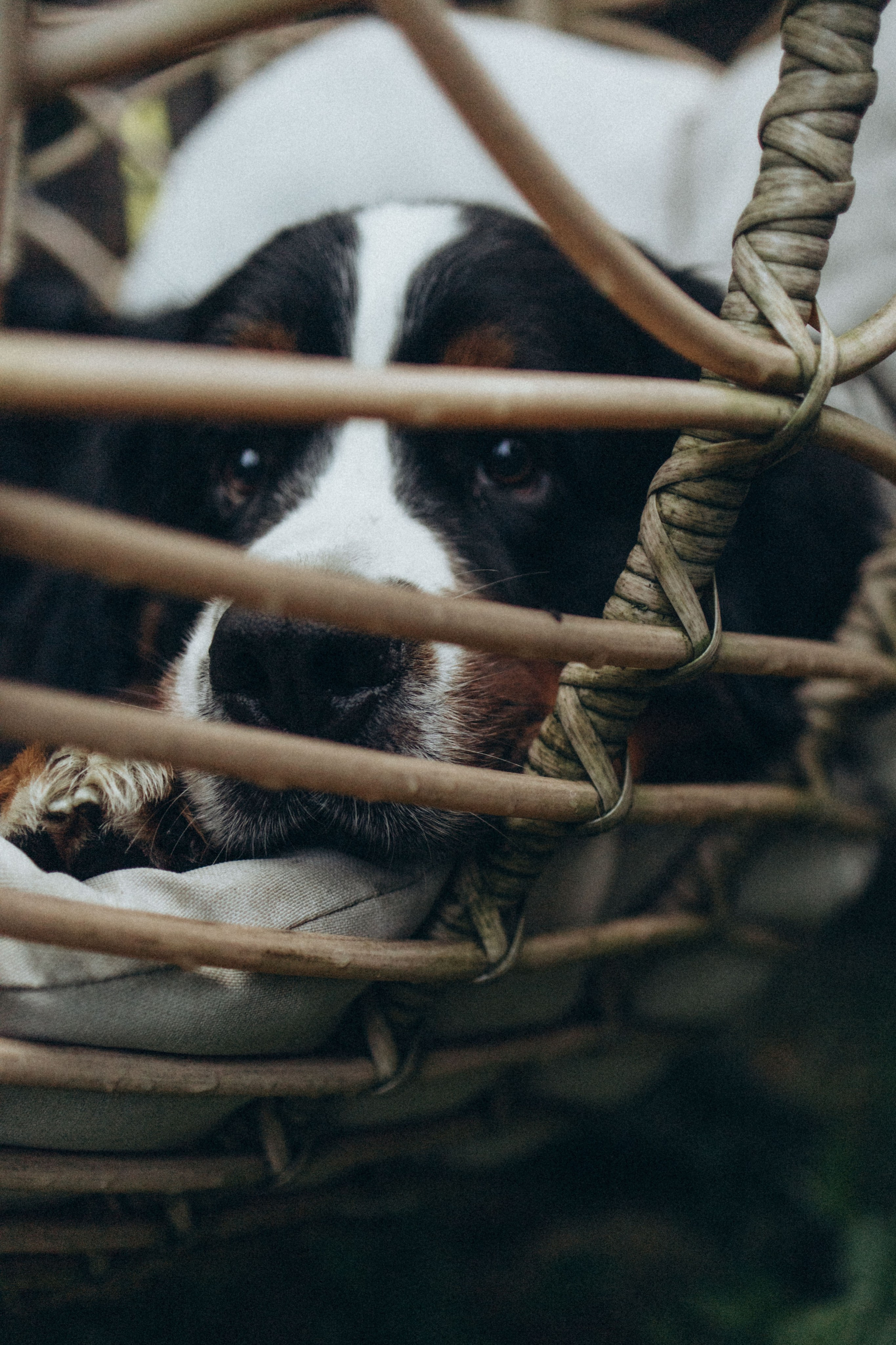 Таня и Тери