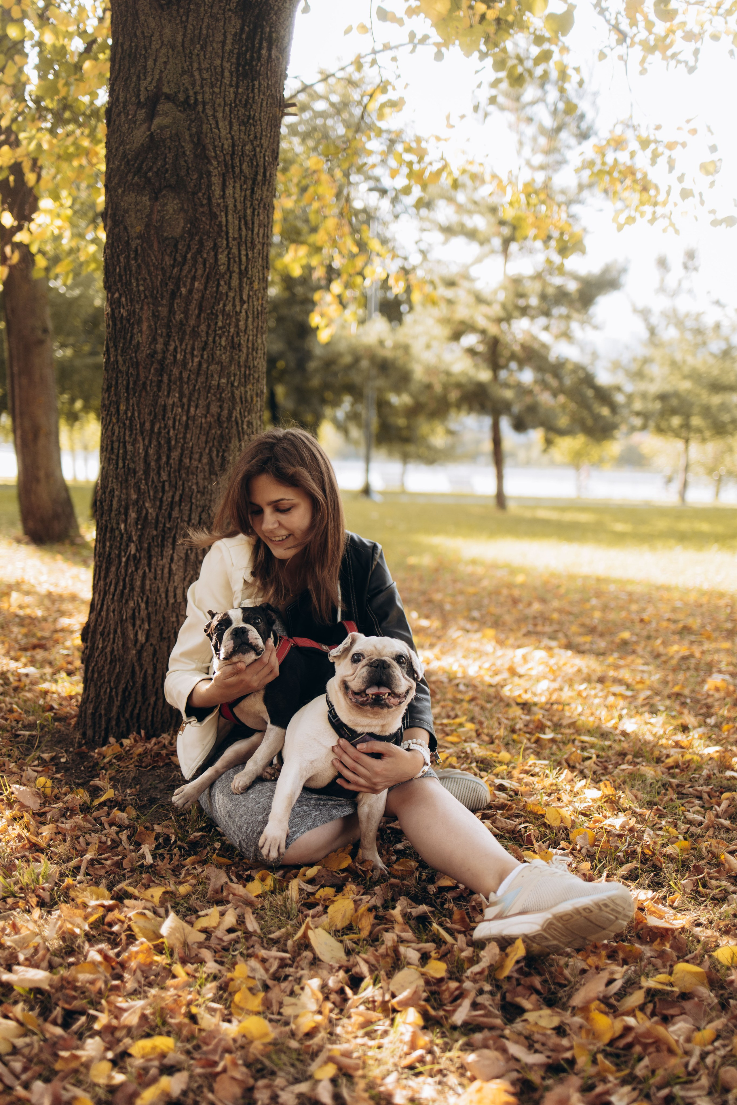 Оля и бульдоги