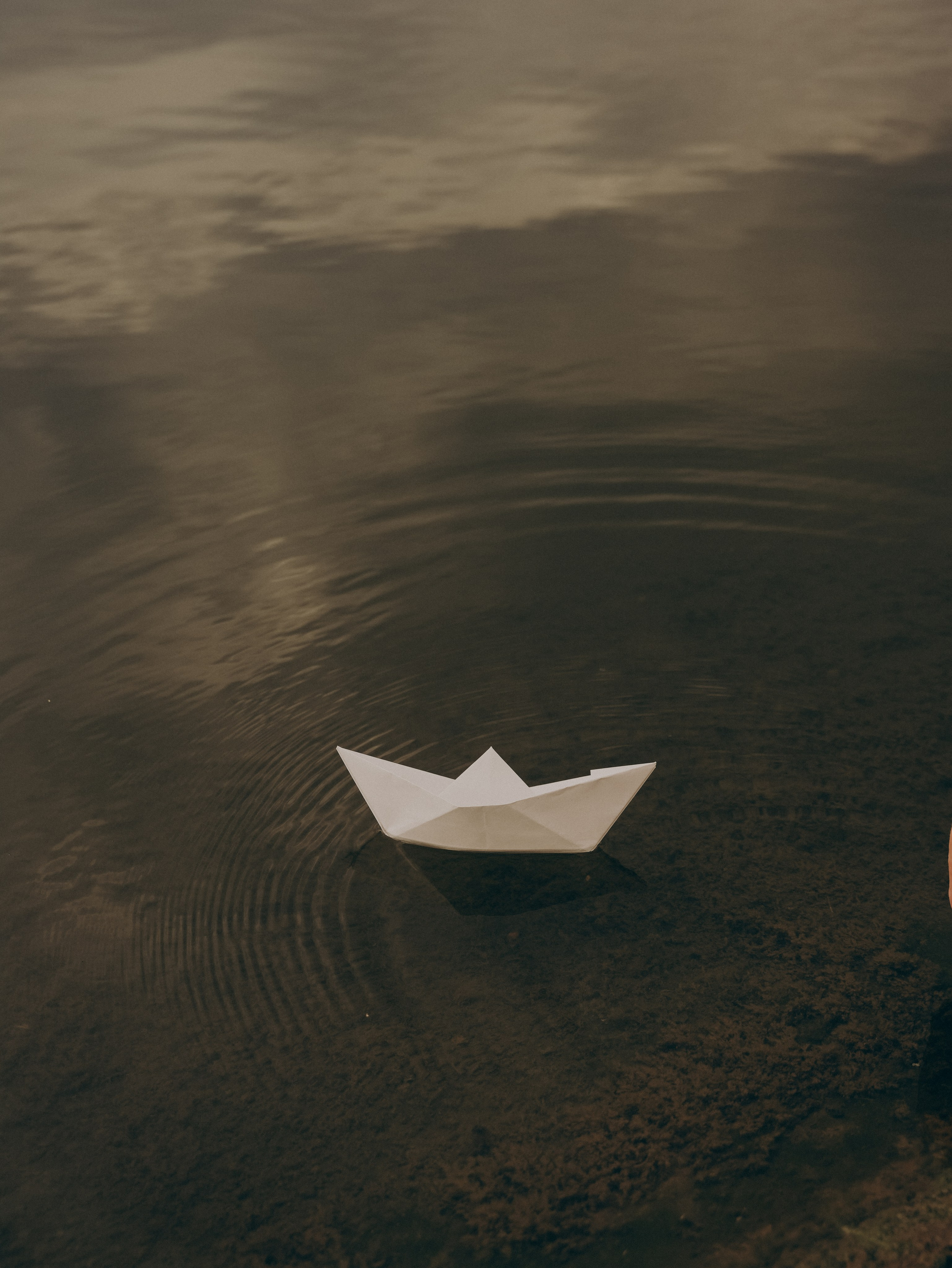 4+1. Свадебный фотограф Ирина Беляева Пятигорск|Кисловодск|Эльбрус|Домбай