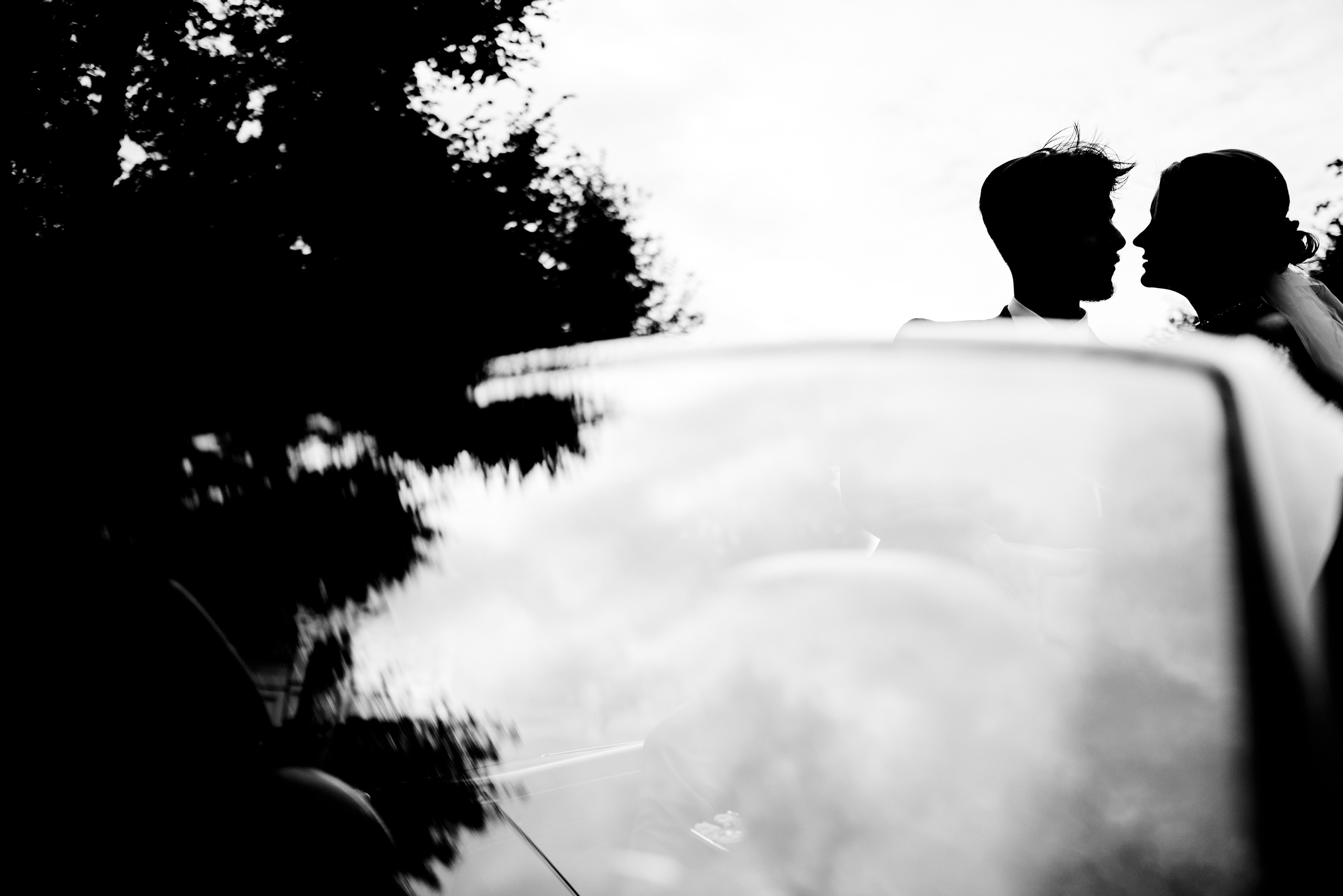 Не просто друзья… а лучшие ❤. Фотограф Михаил Ефремов