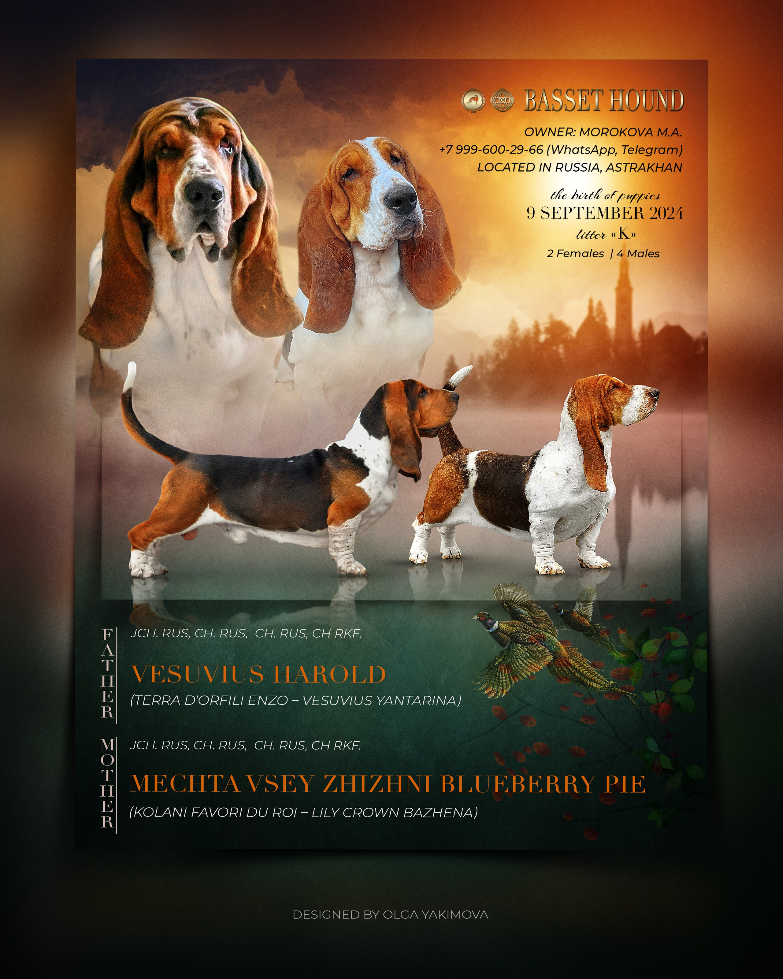 Animal presentation. Фотограф