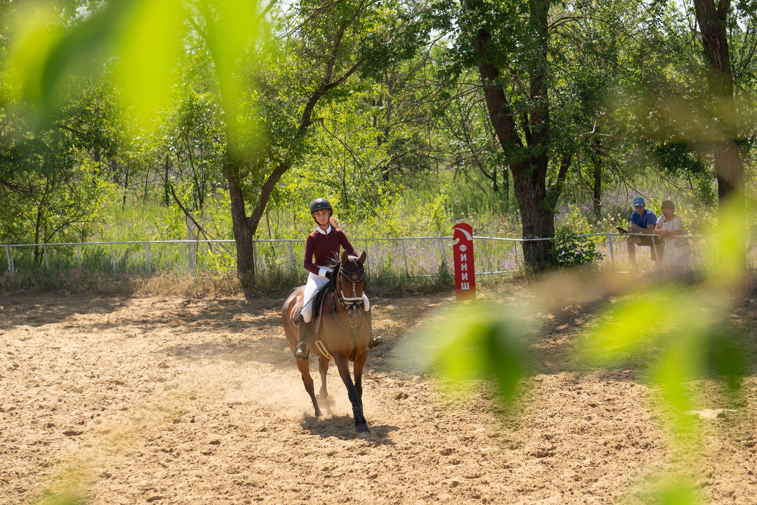 Соревнования по конкуру, Луганск. Фотограф в РФ и ЛНР Юлия Федосеева