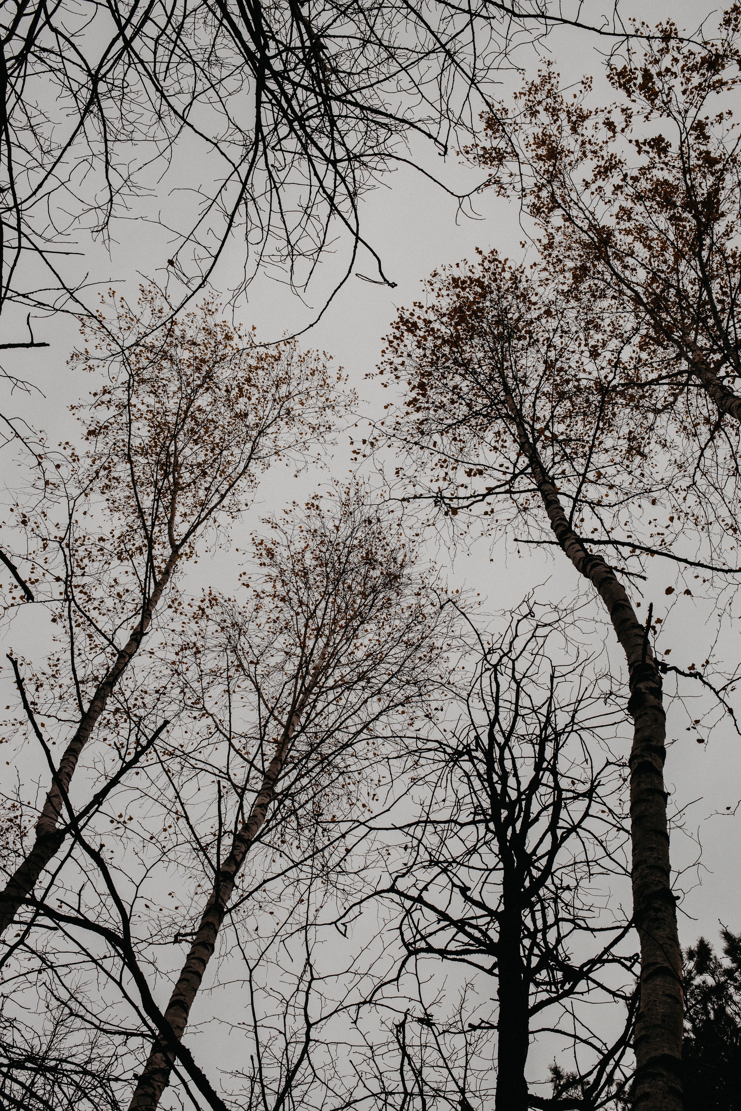 Семь Братьев. Семейный фотограф Трусова Евгения в Екатеринбурге