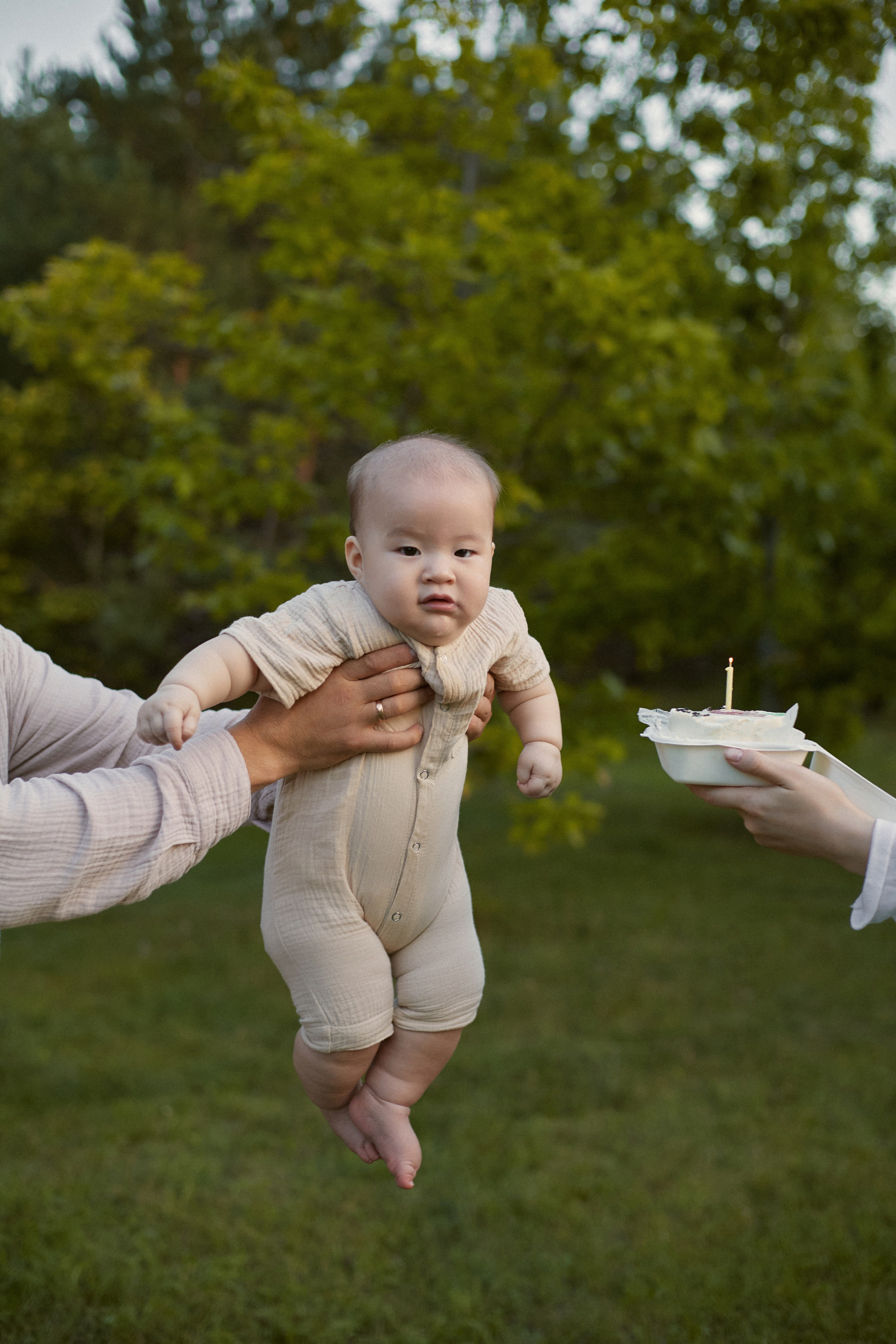 Дендрарий семейная. Juliashtondic. photo
