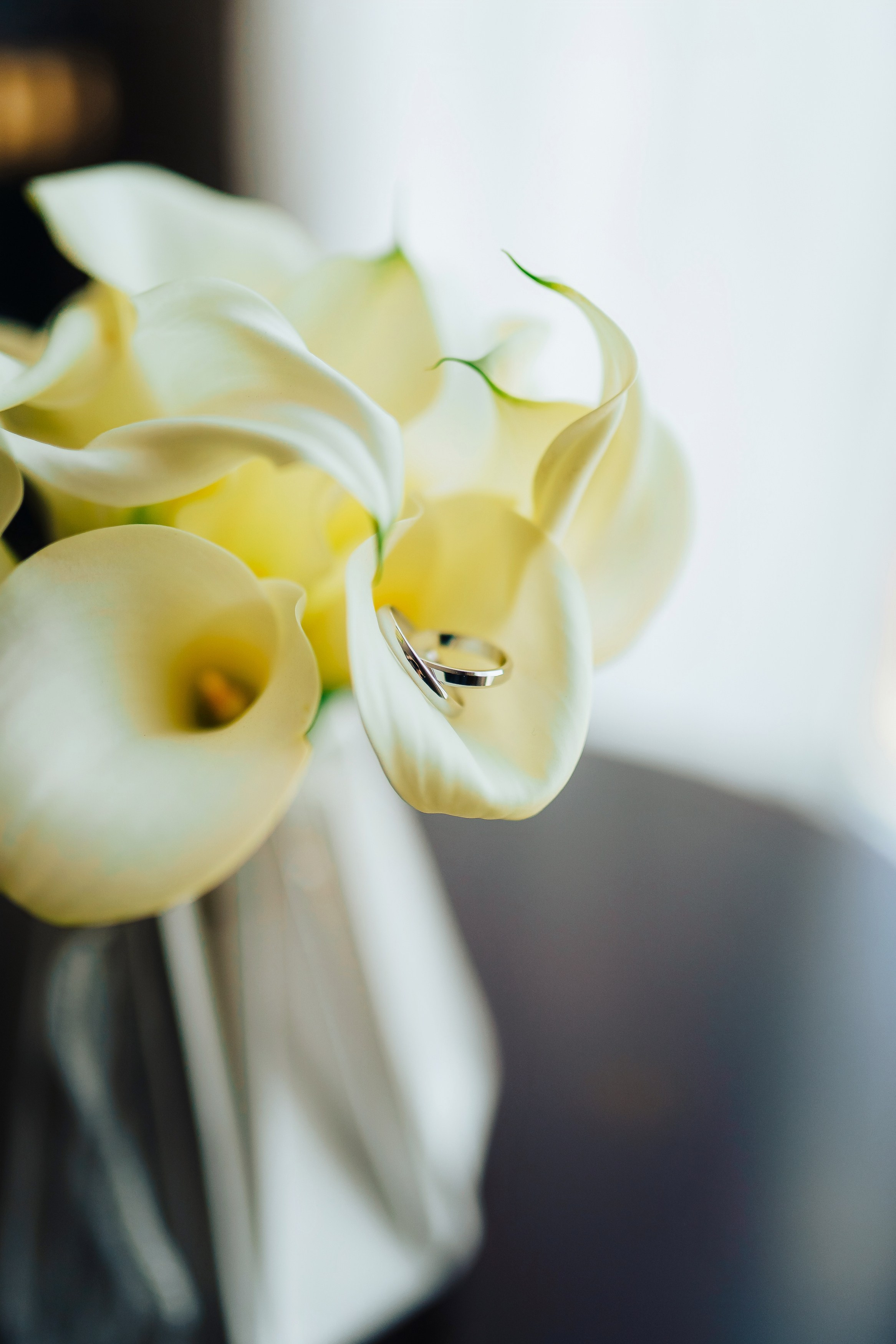 Свадьба Сергей и Анастасия. Ваш свадебный и семейный фотограф