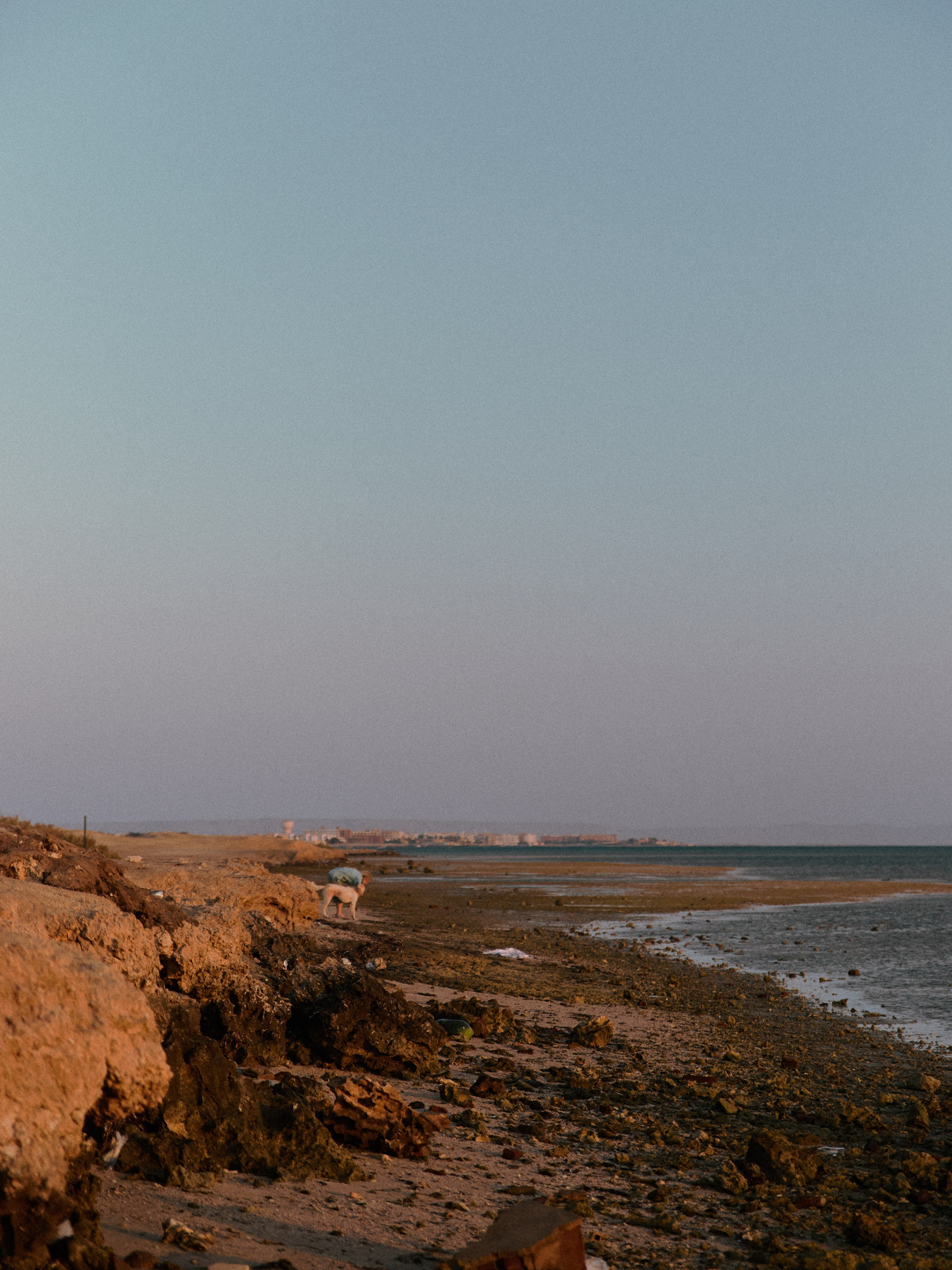 Цены. Jorgis — фотограф в Хургаде / обучение фотографии