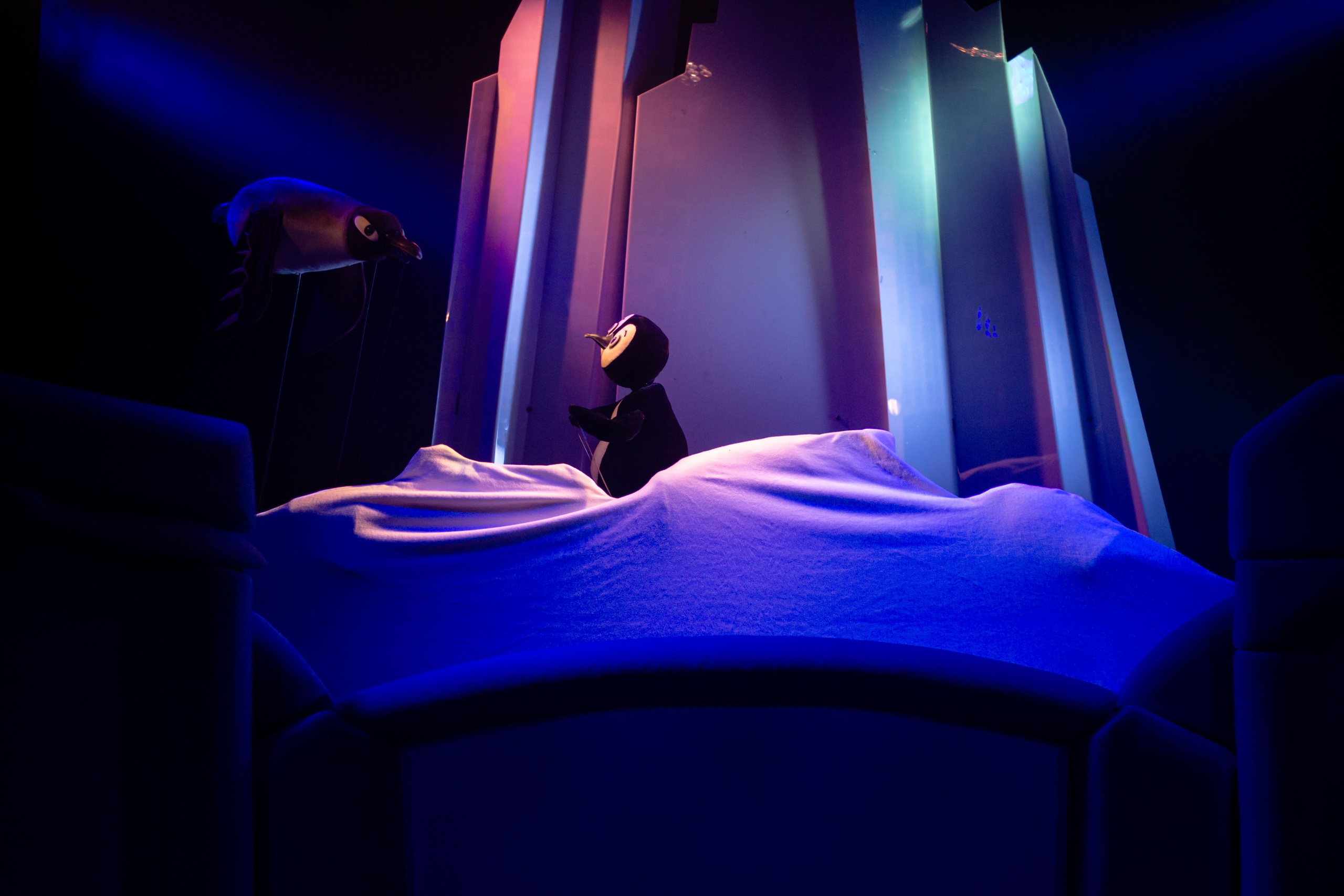 Бродячая собачка. Юля Мурашова портретный и документальный фотограф