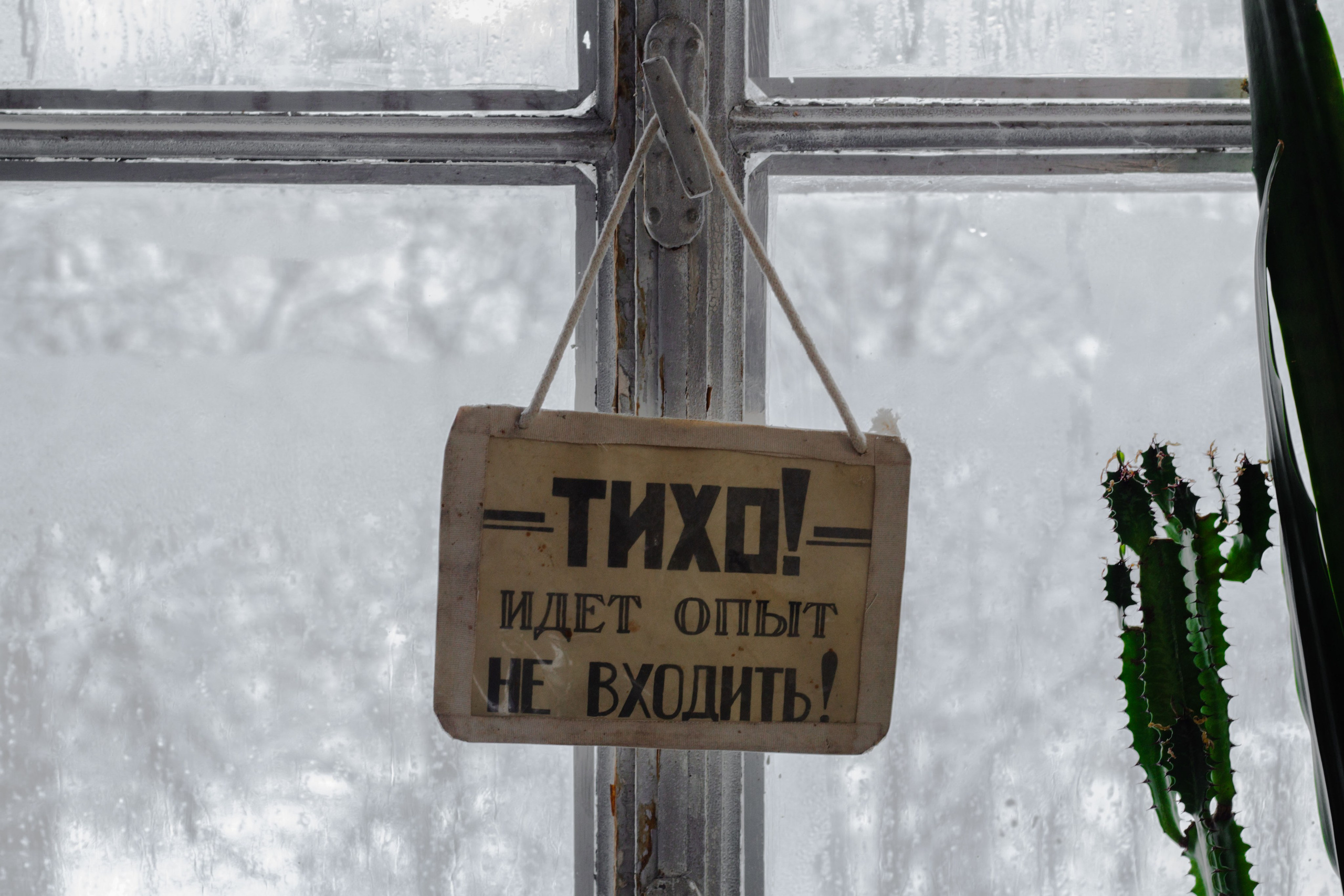 Один день из жизни сценариста. Юля Мурашова портретный и документальный фотограф