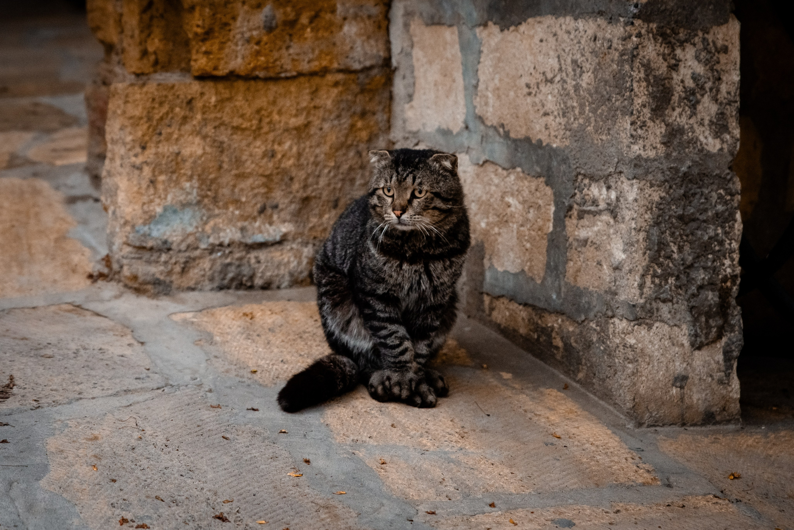 Дагестан. Фотограф Крещение Венчание Москва