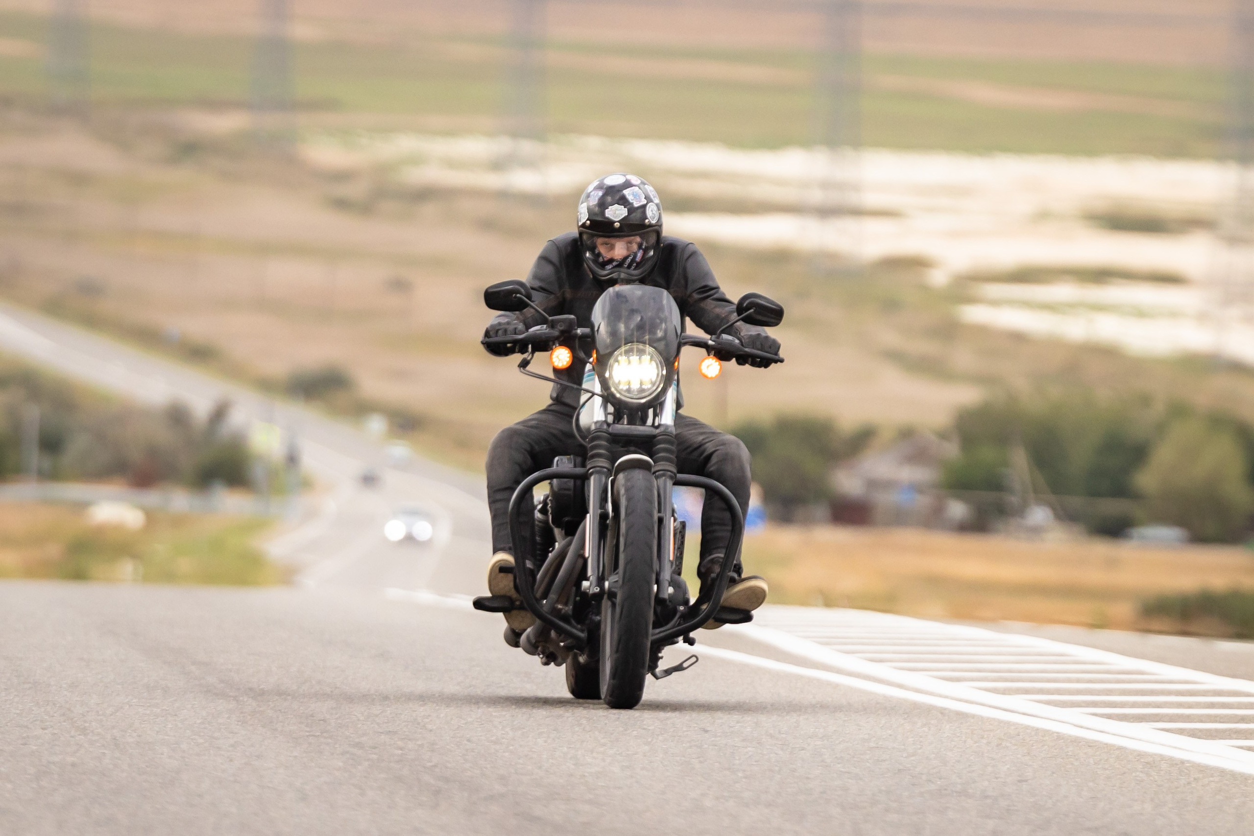 Южное Сафари в Тамани. Сентябрь 2024. Фотограф Владимир Охрименко