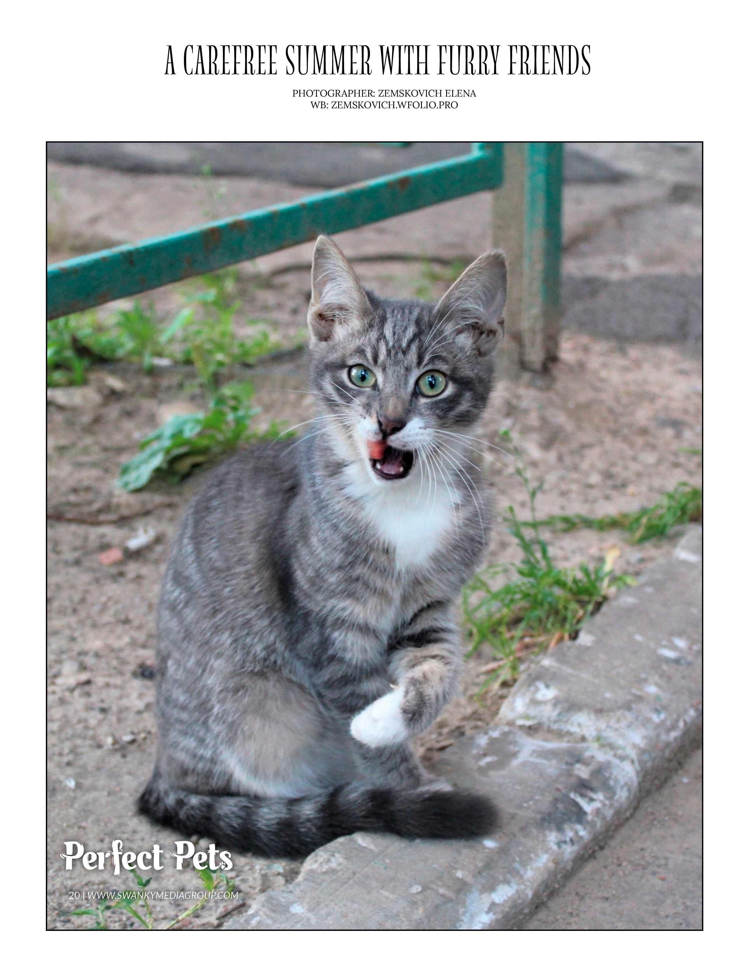 Журнал Perfect pets jan 2025