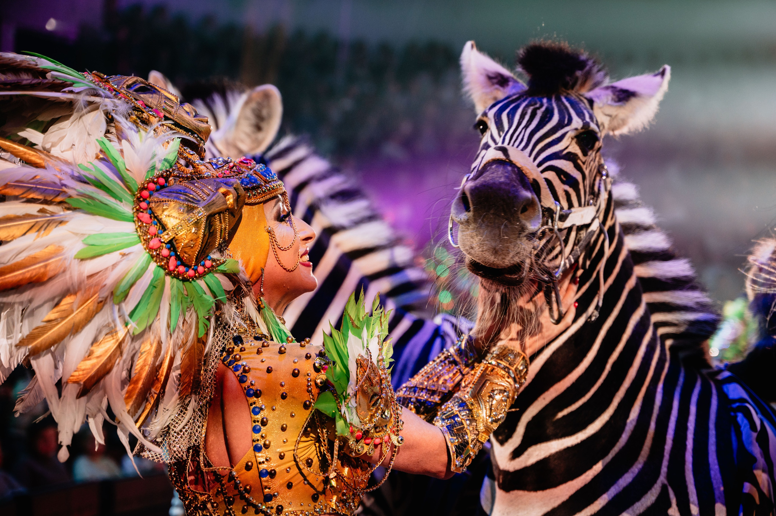 Цирк. Большакова Полина — фотограф в Туле