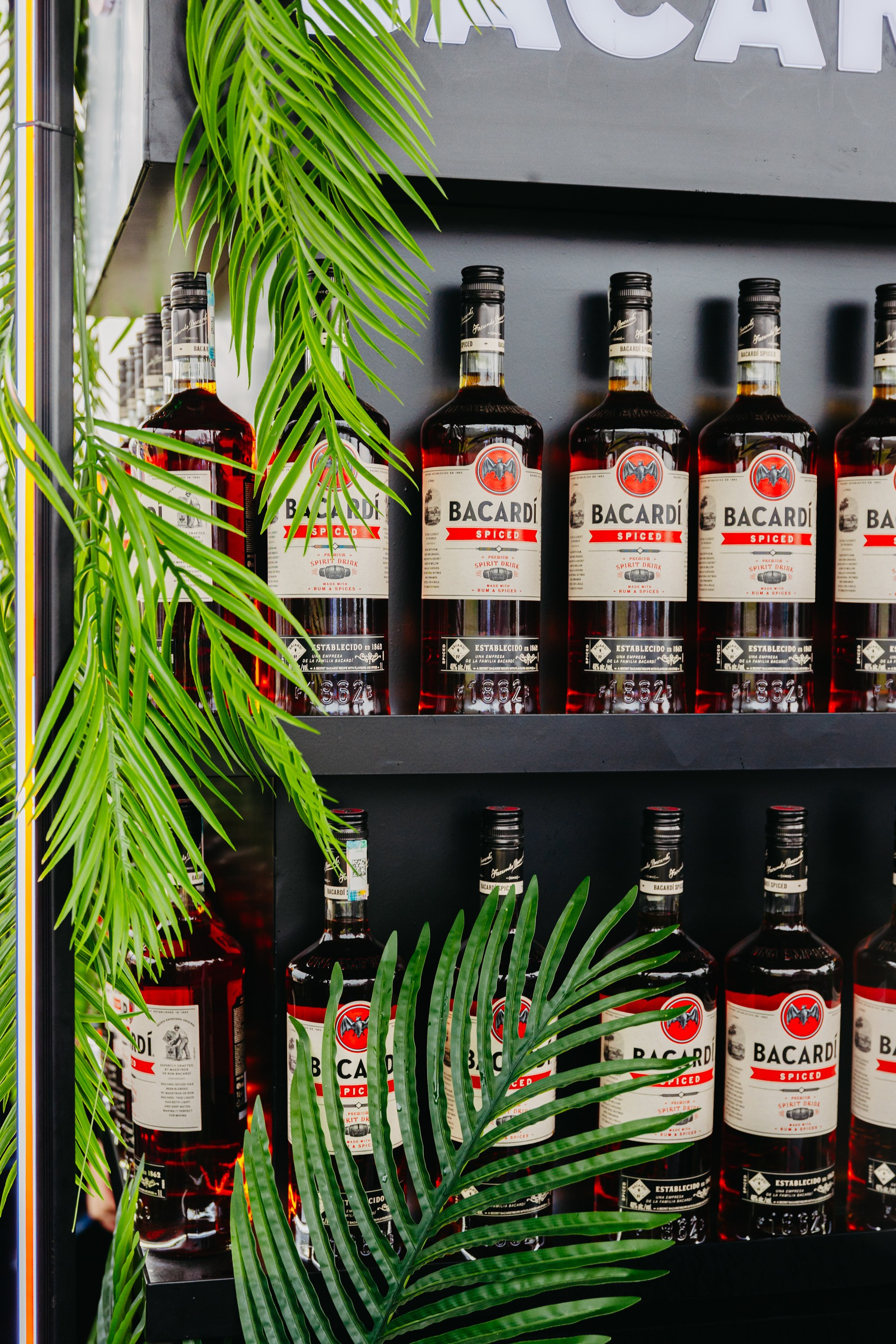 SATISFATION ALMATY 2024. ГЛАВНАЯ