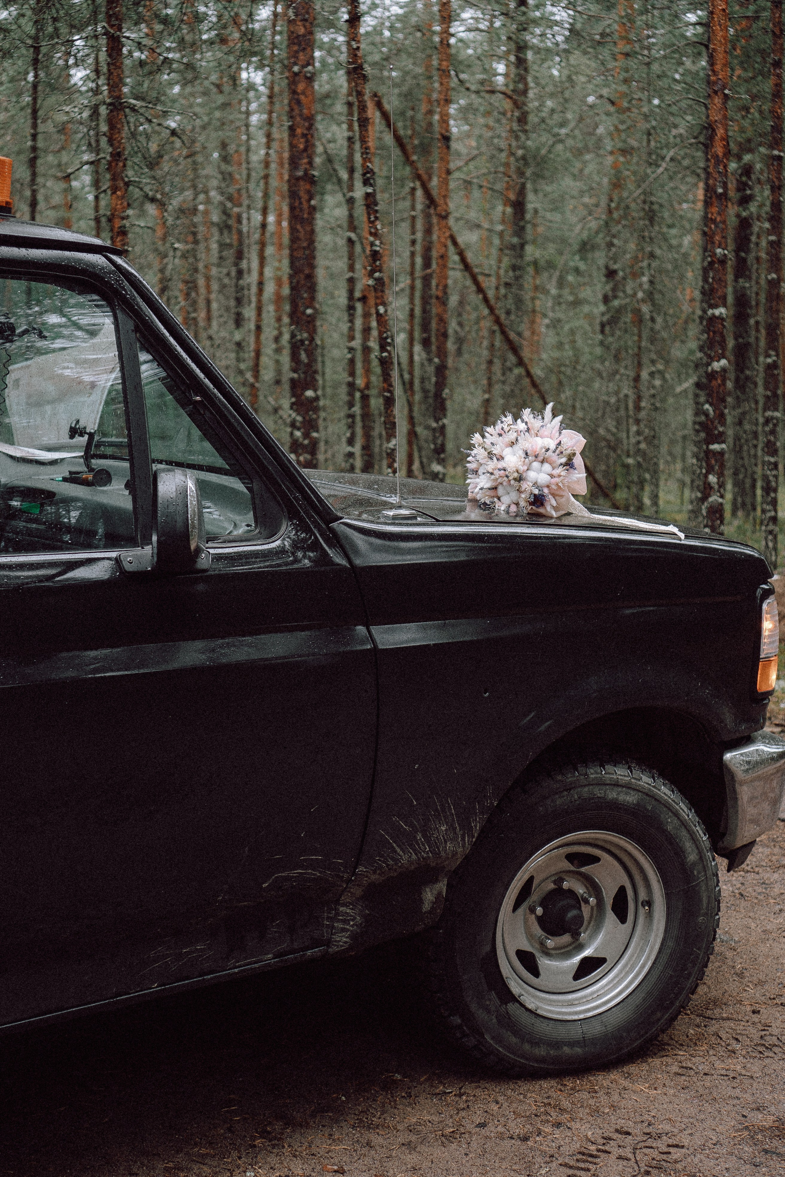 СВАДЕБНАЯ ФОТОСЕССИИЯ ПАРЫ В ГОРОДЕ ПРИОЗЕРСК В СОСНОВОМ ЛЕСУ И С ПИКАПОМ. Профессиональный фотограф, Санкт-Петербург — Виктория Богомолова