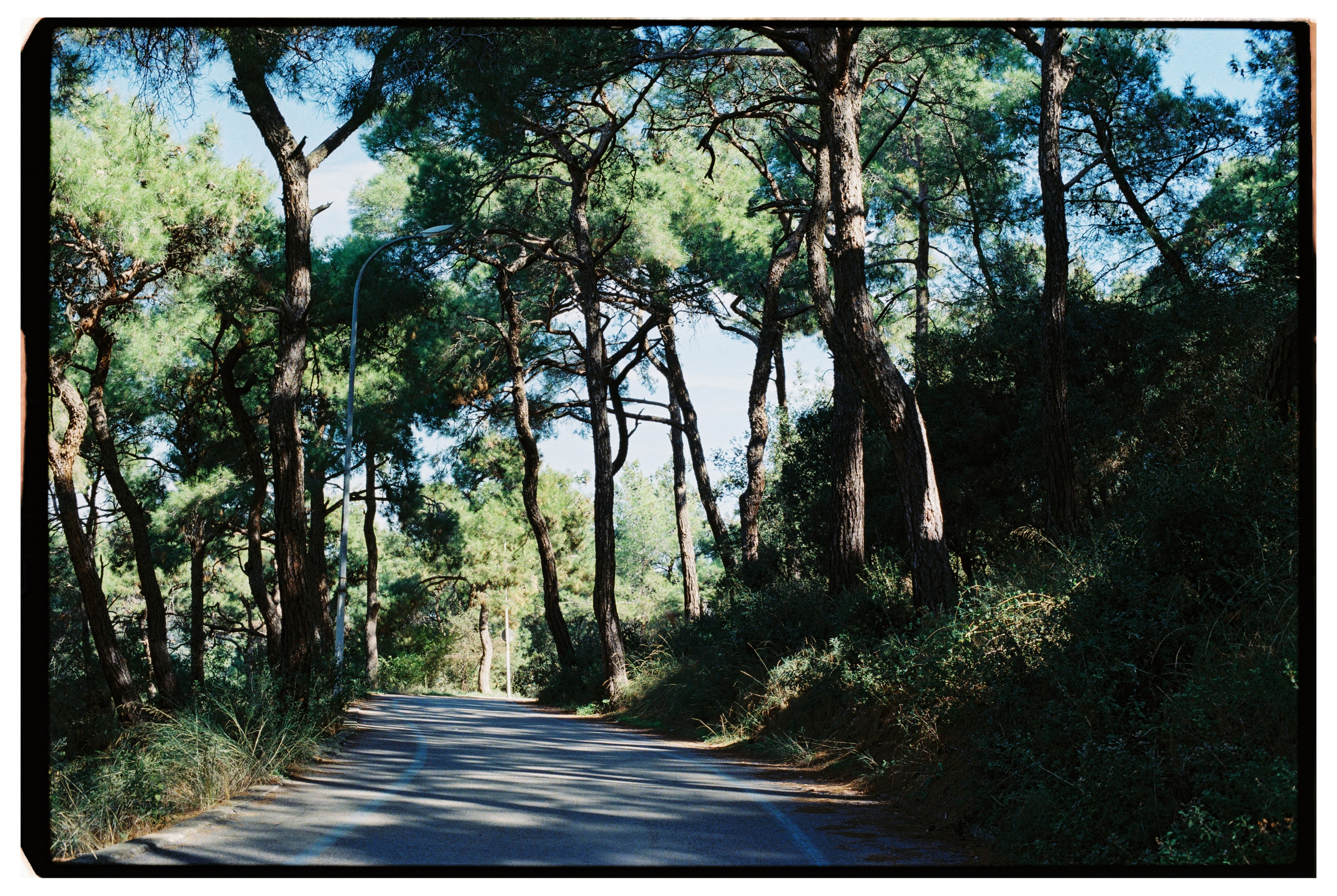 Стамбул, Турция. Портретный фотограф Софья Хворостова