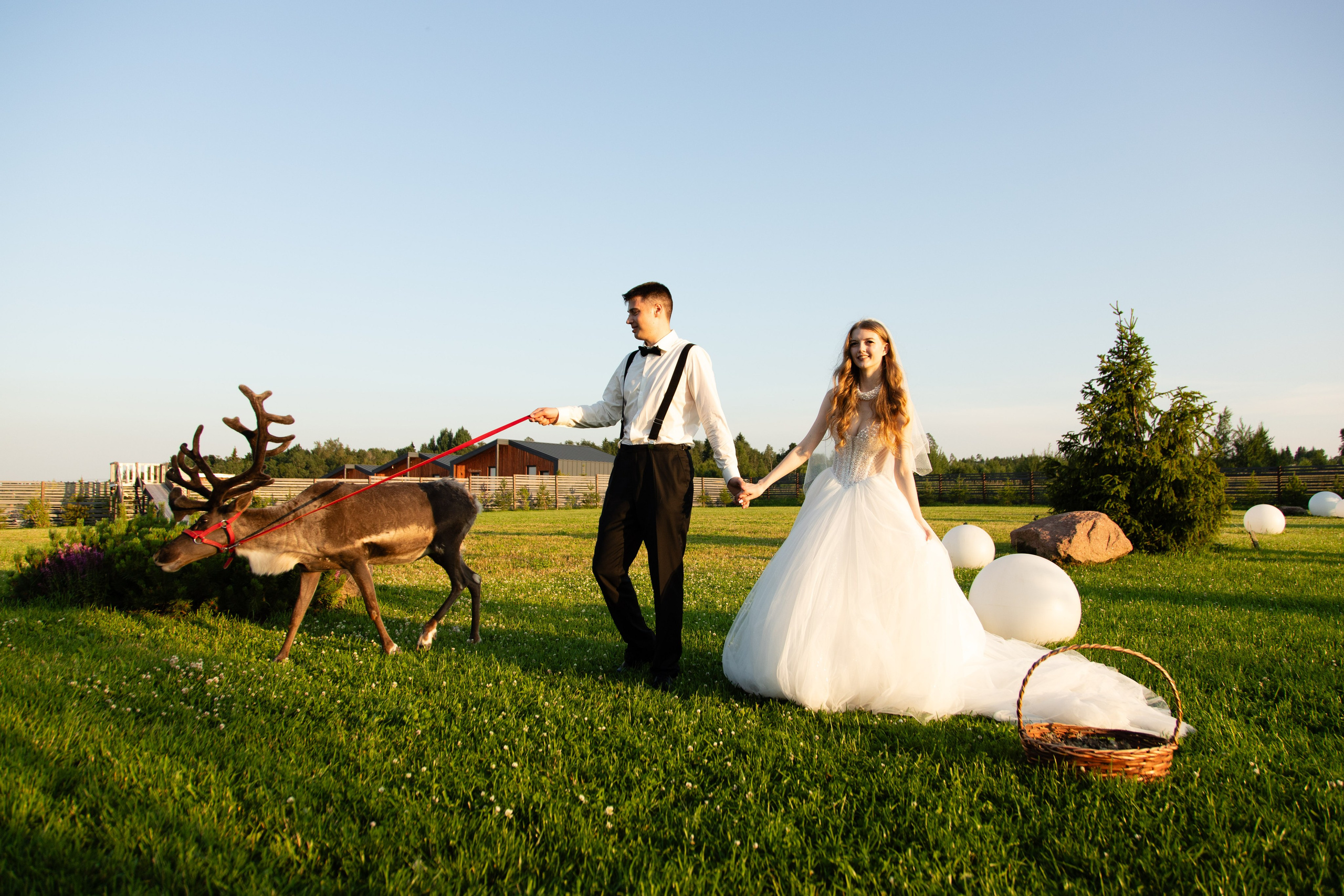 Лилиана и Сергей. Свадебный фотограф в СПб и Москве Павел Сергеев