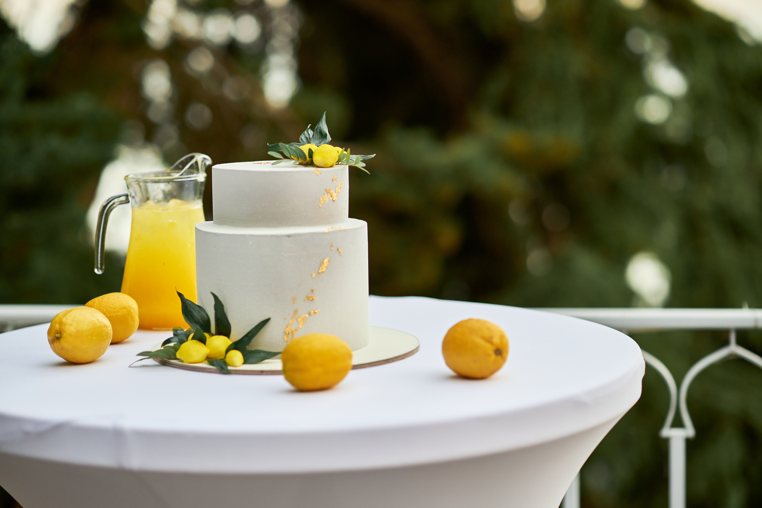 Гости Светланы и Евгения. Таучелов Сергей. Фотограф, Видеограф, Видеооператор в Симферополе