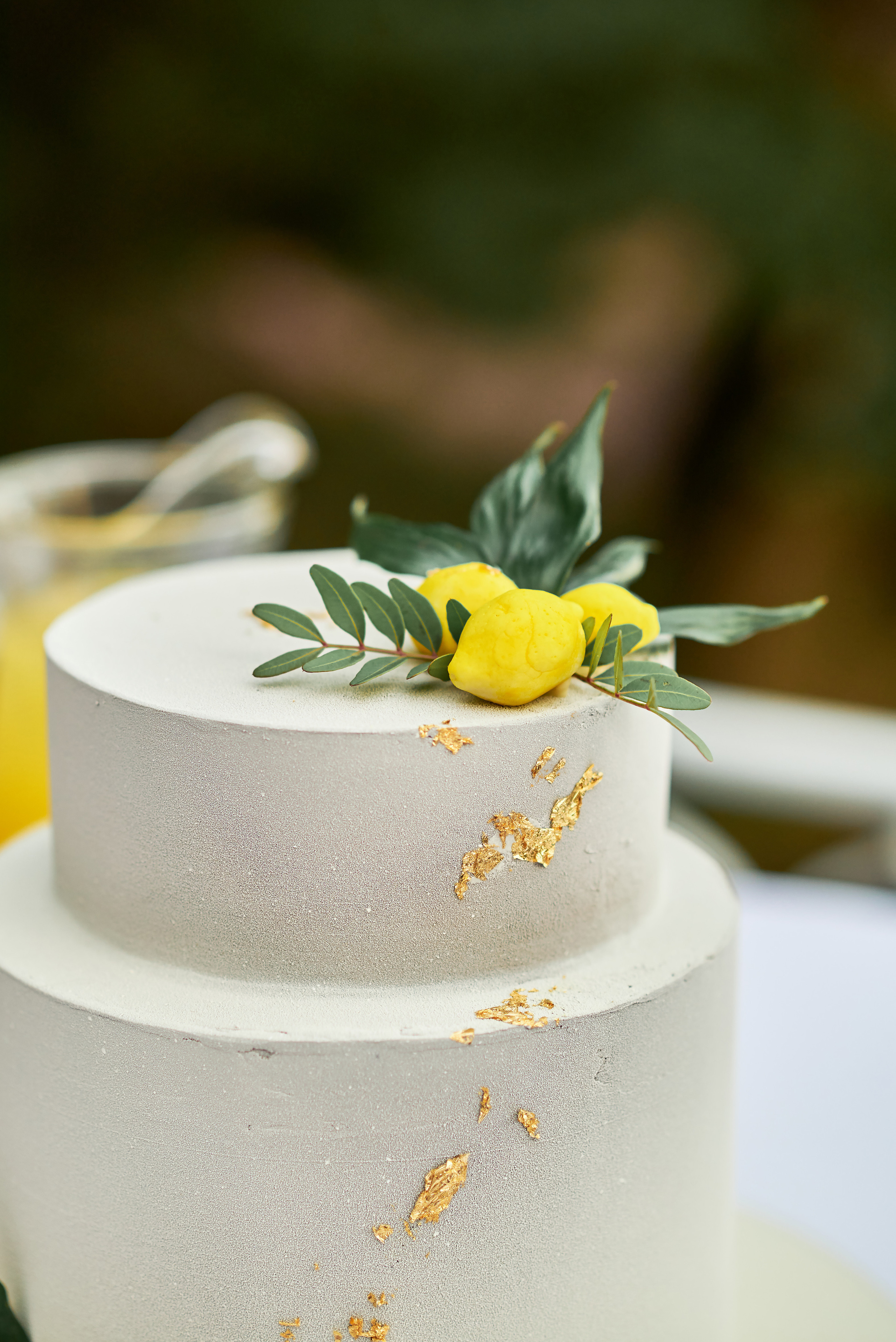 Гости Светланы и Евгения. Таучелов Сергей. Фотограф, Видеограф, Видеооператор в Симферополе