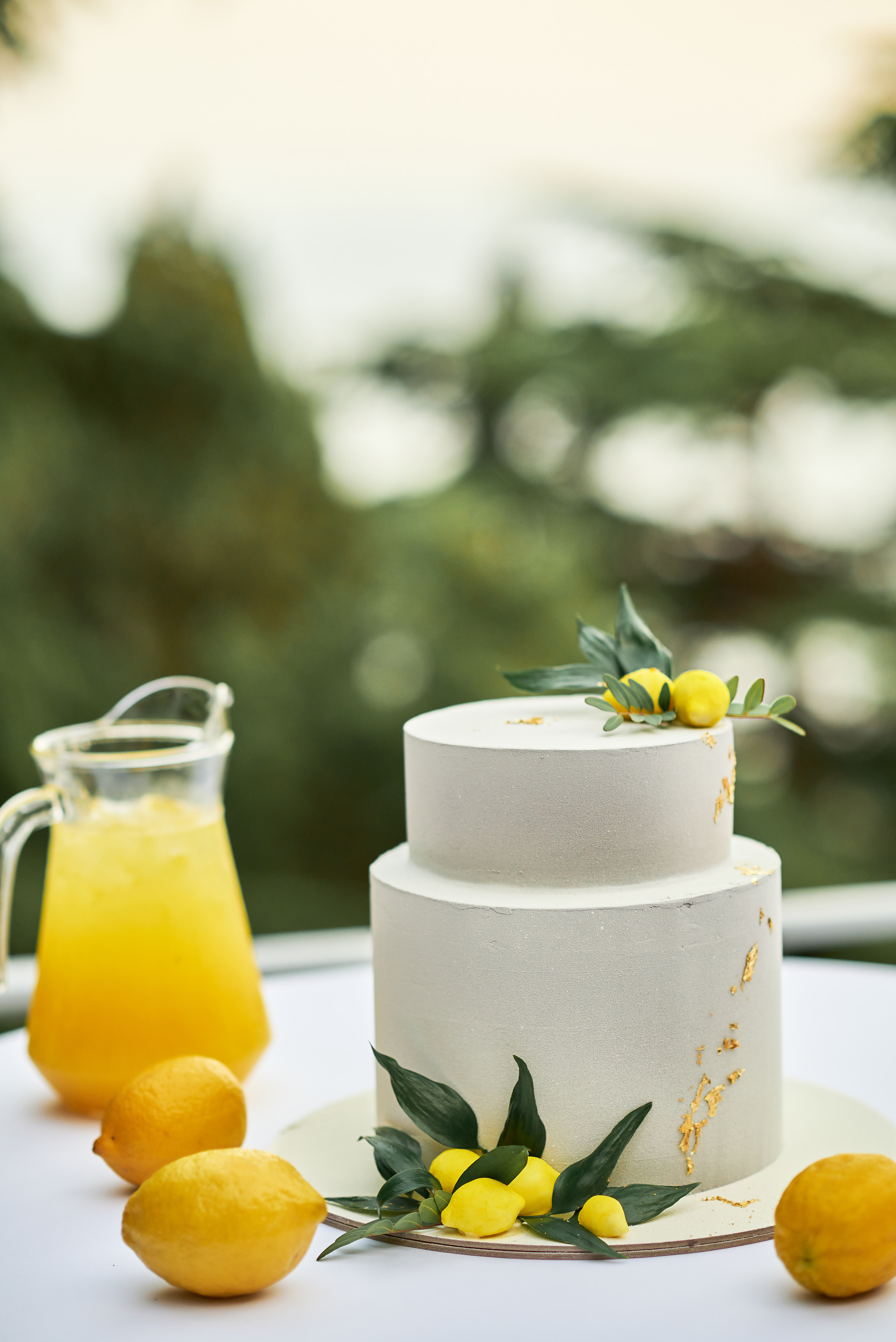 Гости Светланы и Евгения. Таучелов Сергей. Фотограф, Видеограф, Видеооператор в Симферополе