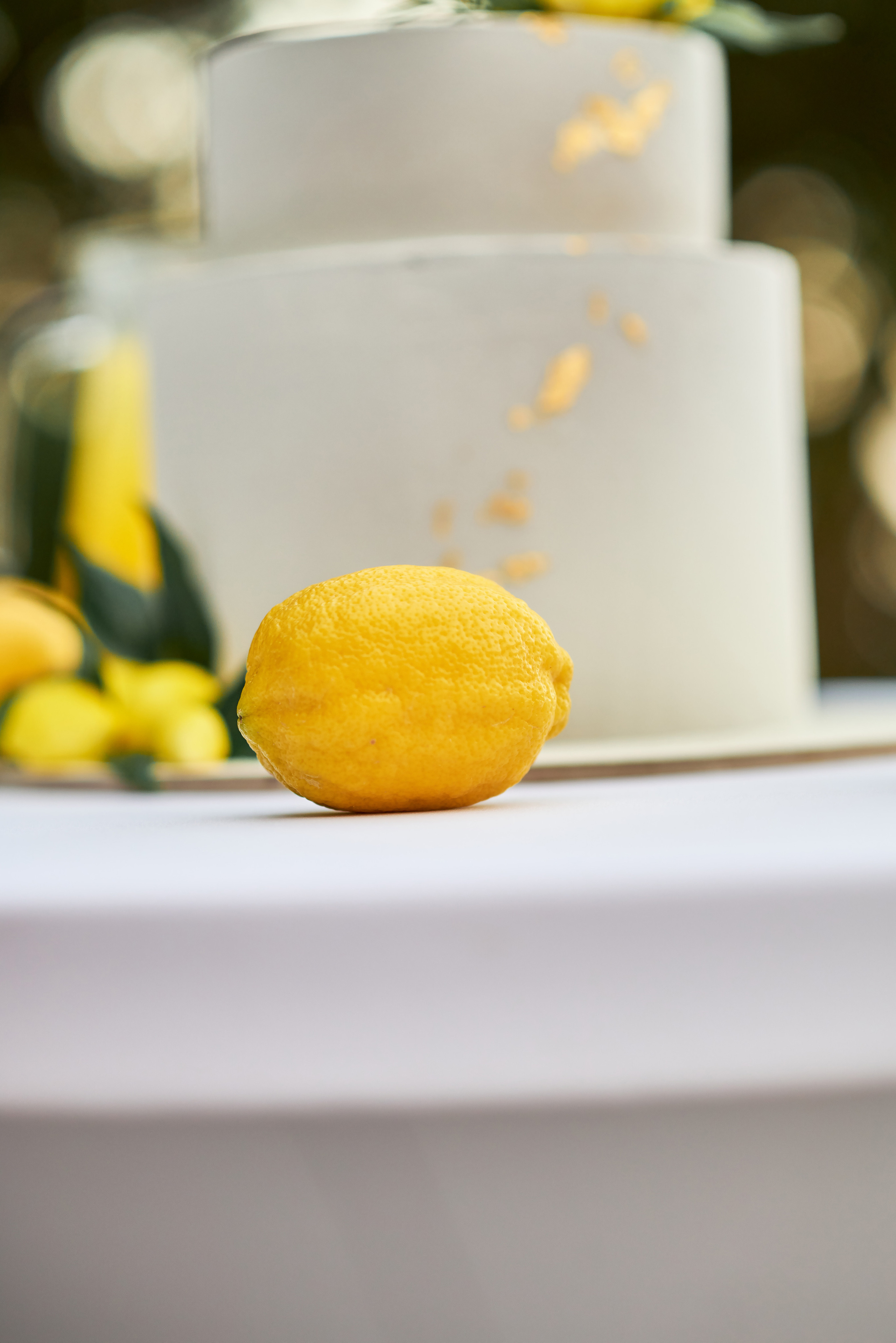 Гости Светланы и Евгения. Таучелов Сергей. Фотограф, Видеограф, Видеооператор в Симферополе