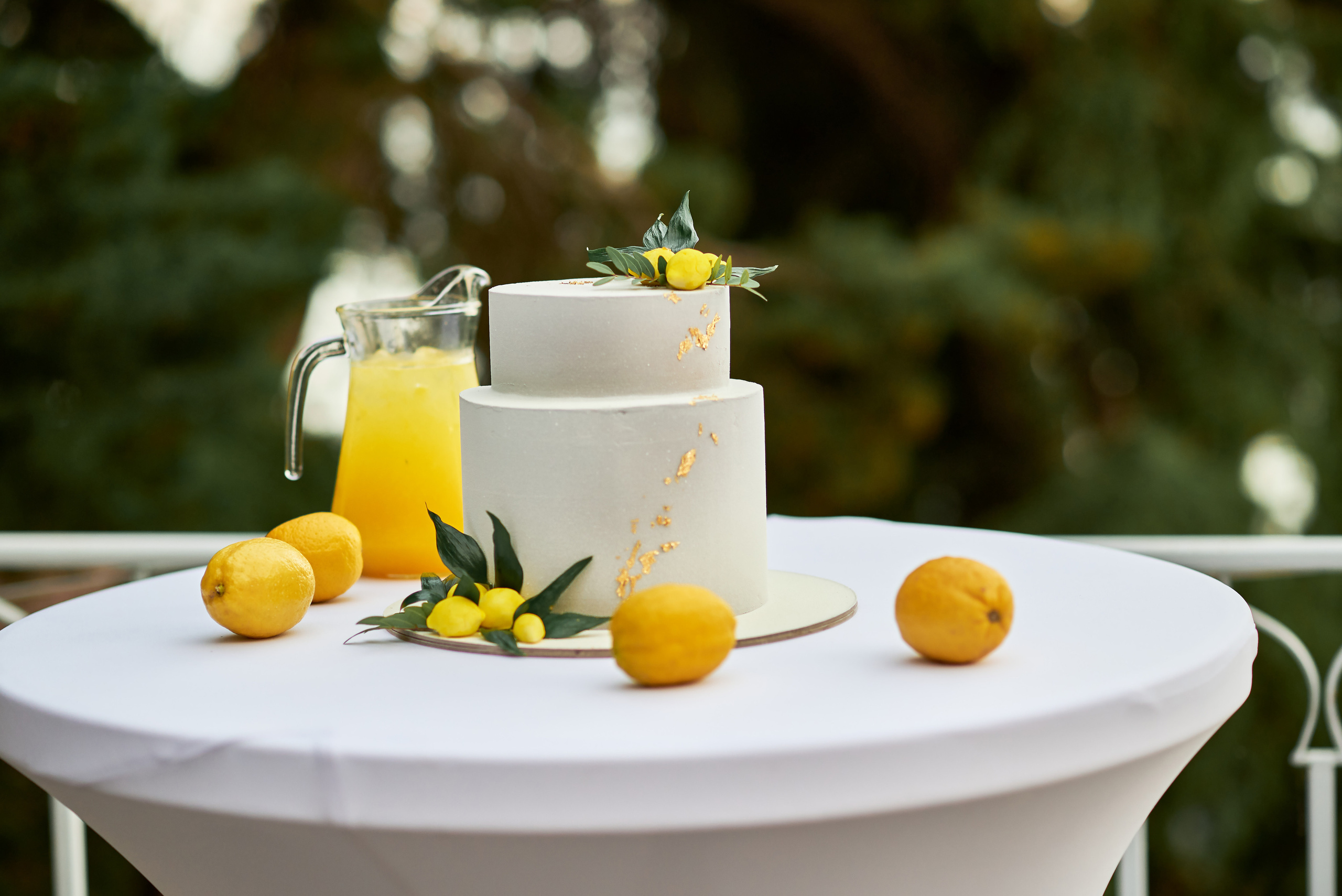 Гости Светланы и Евгения. Таучелов Сергей. Фотограф, Видеограф, Видеооператор в Симферополе