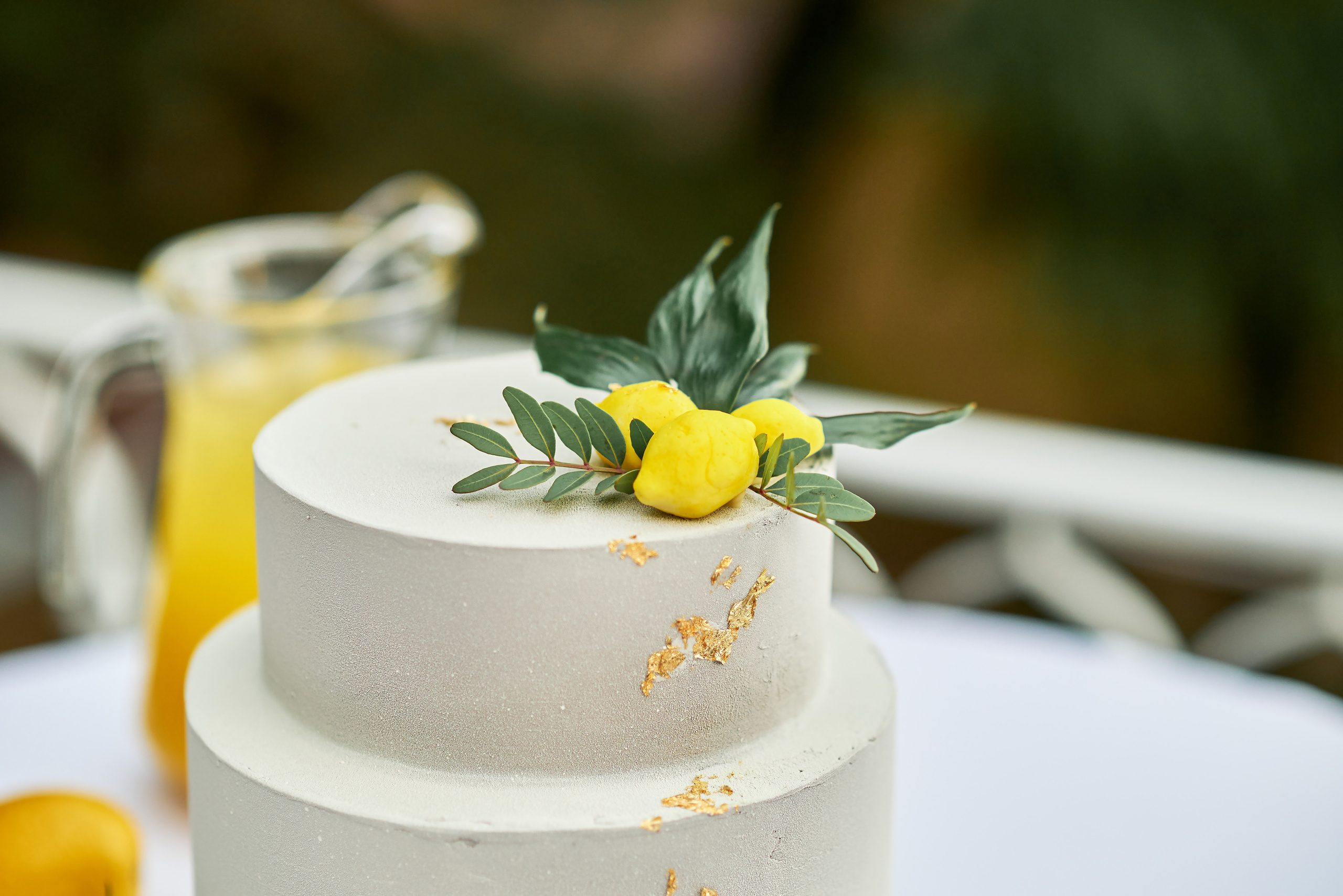 Гости Светланы и Евгения. Таучелов Сергей. Фотограф, Видеограф, Видеооператор в Симферополе