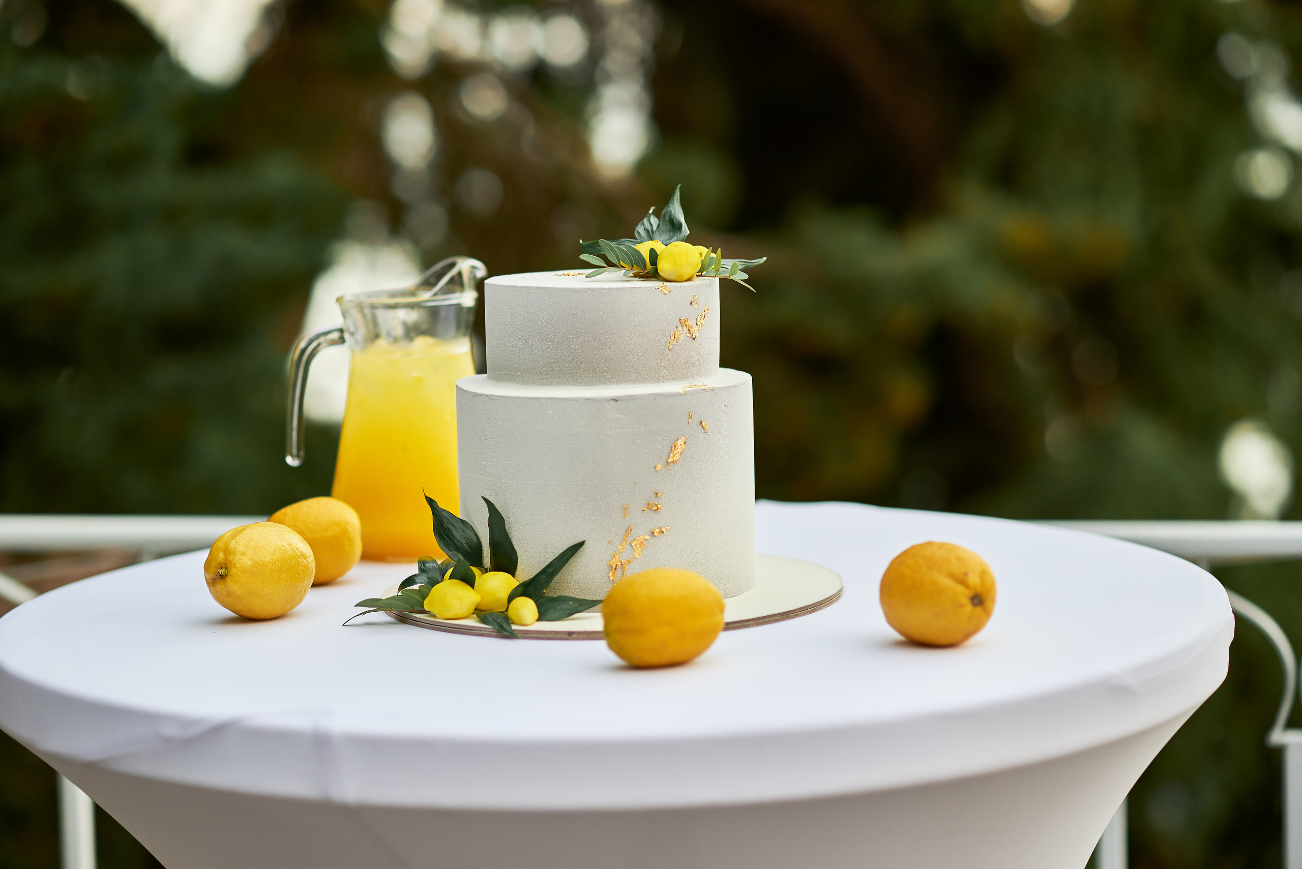 Гости Светланы и Евгения. Таучелов Сергей. Фотограф, Видеограф, Видеооператор в Симферополе