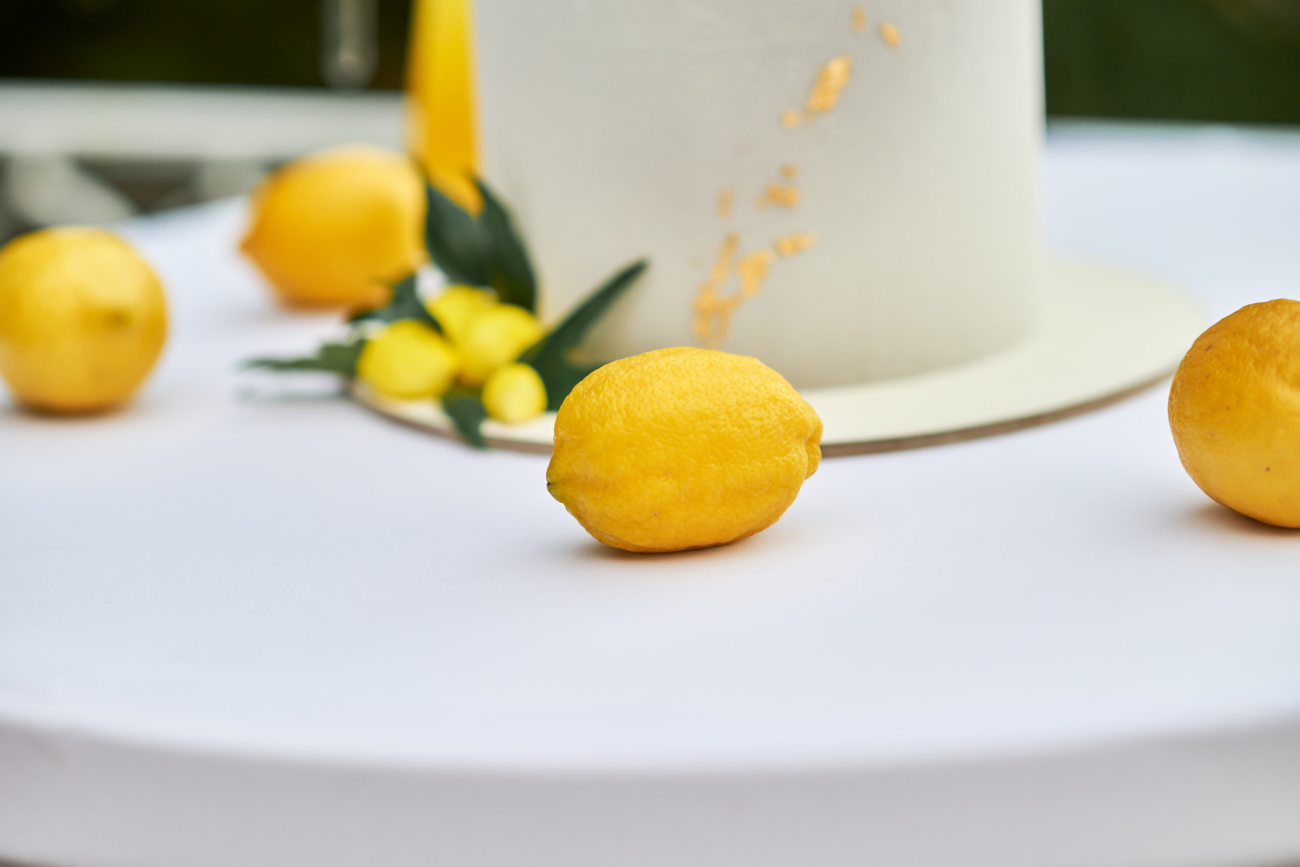 Гости Светланы и Евгения. Таучелов Сергей. Фотограф, Видеограф, Видеооператор в Симферополе