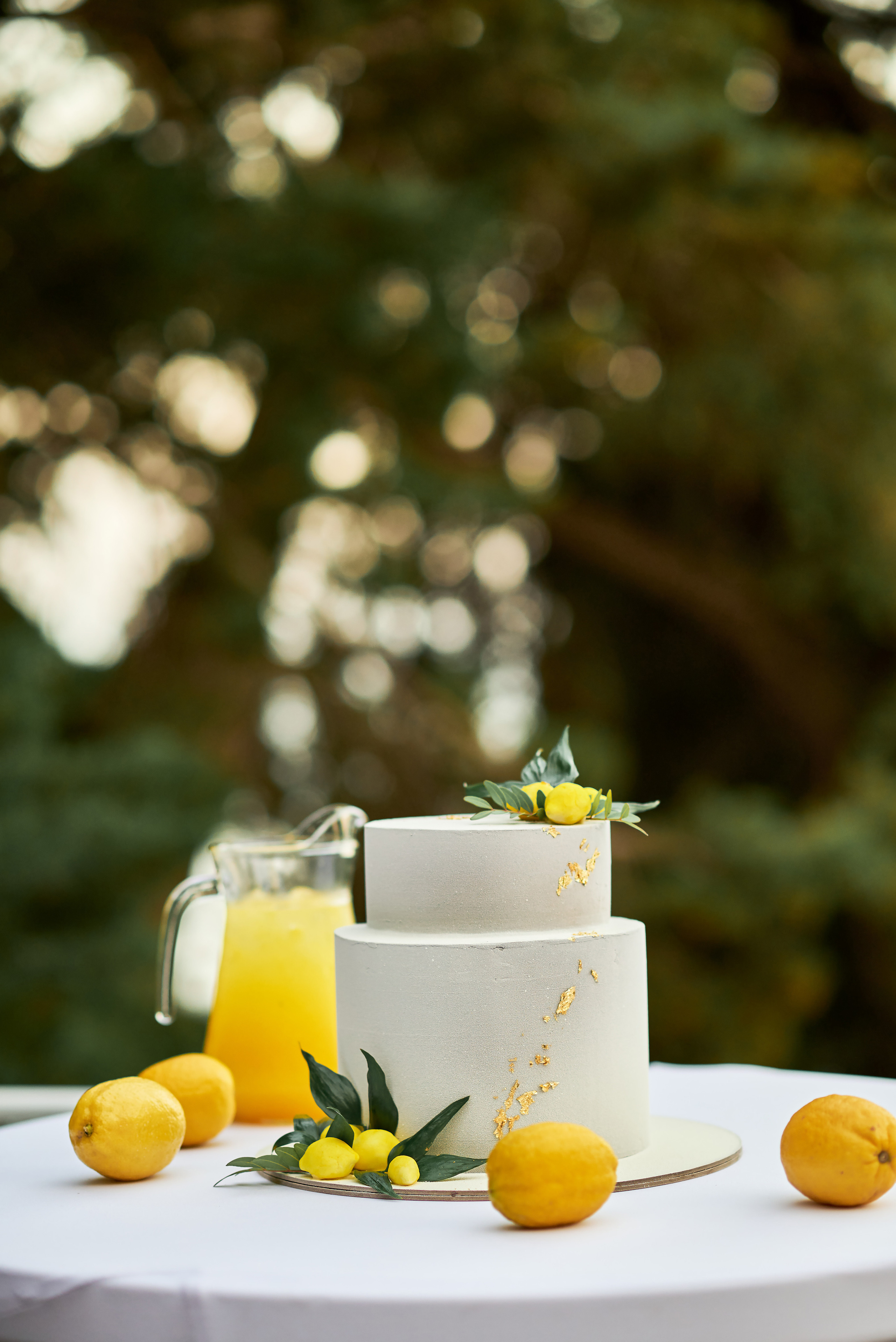 Гости Светланы и Евгения. Таучелов Сергей. Фотограф, Видеограф, Видеооператор в Симферополе